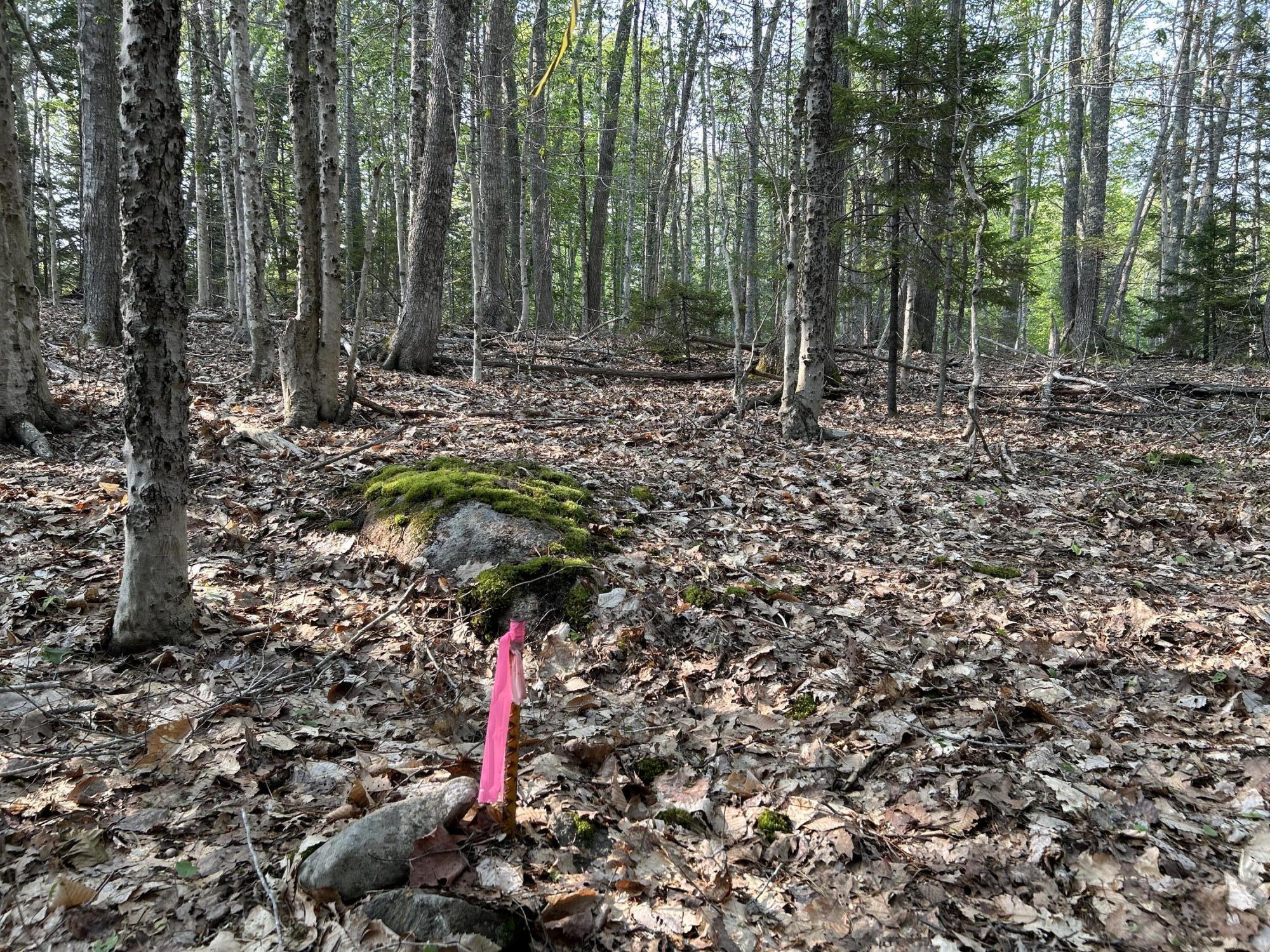 M6L53 Bristol Road Bristol ME 04539