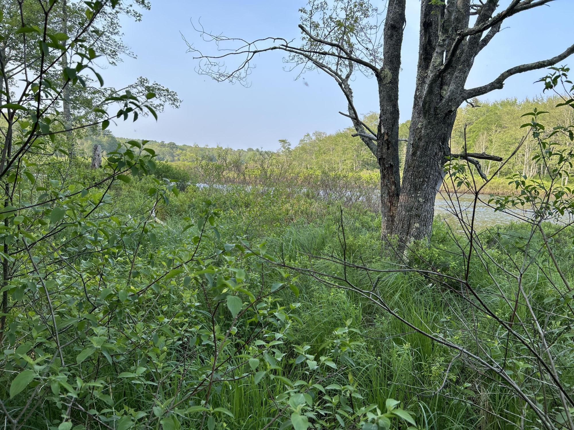 M6L53 Bristol Road Bristol ME 04539