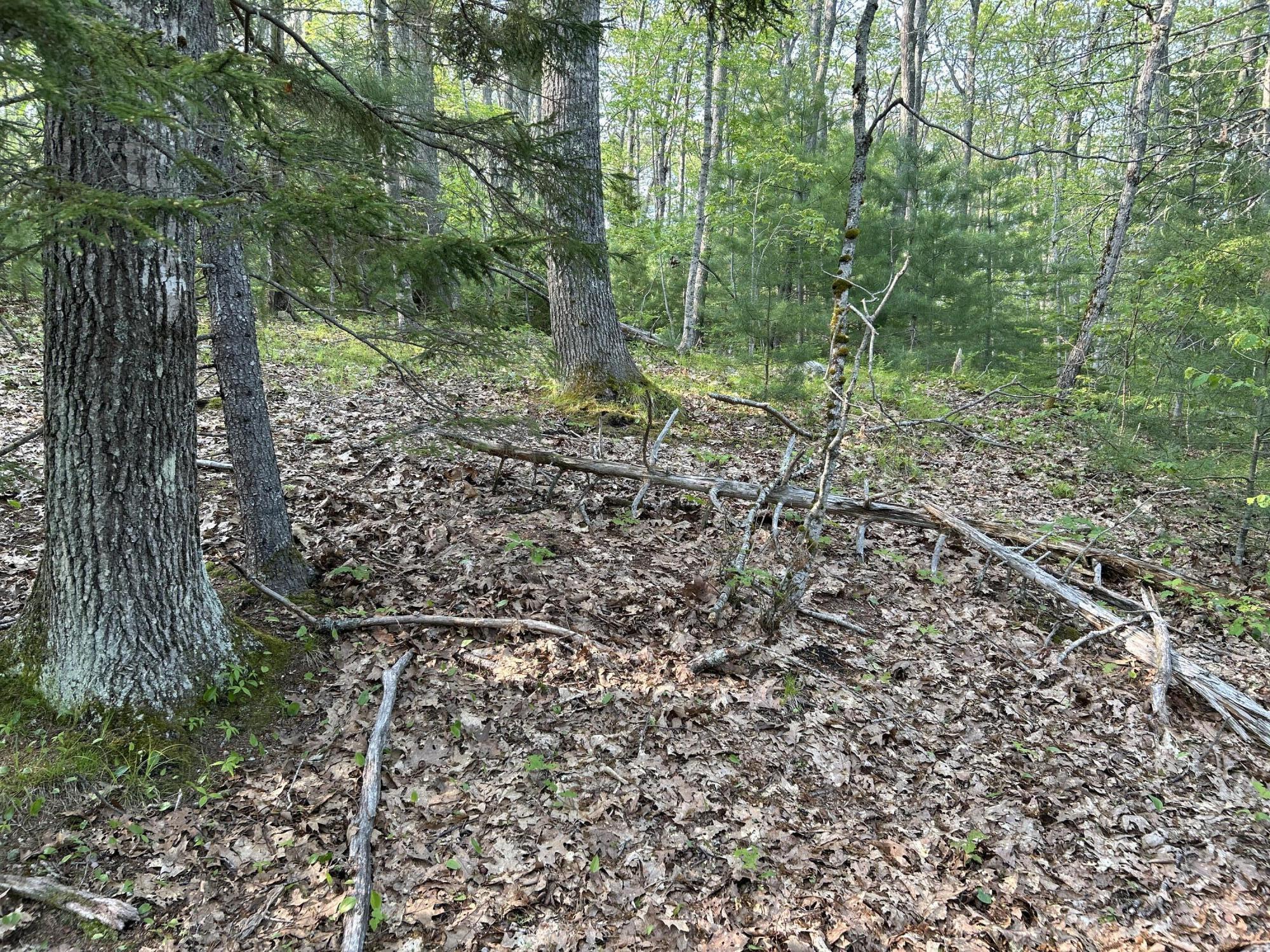 M6L53 Bristol Road Bristol ME 04539