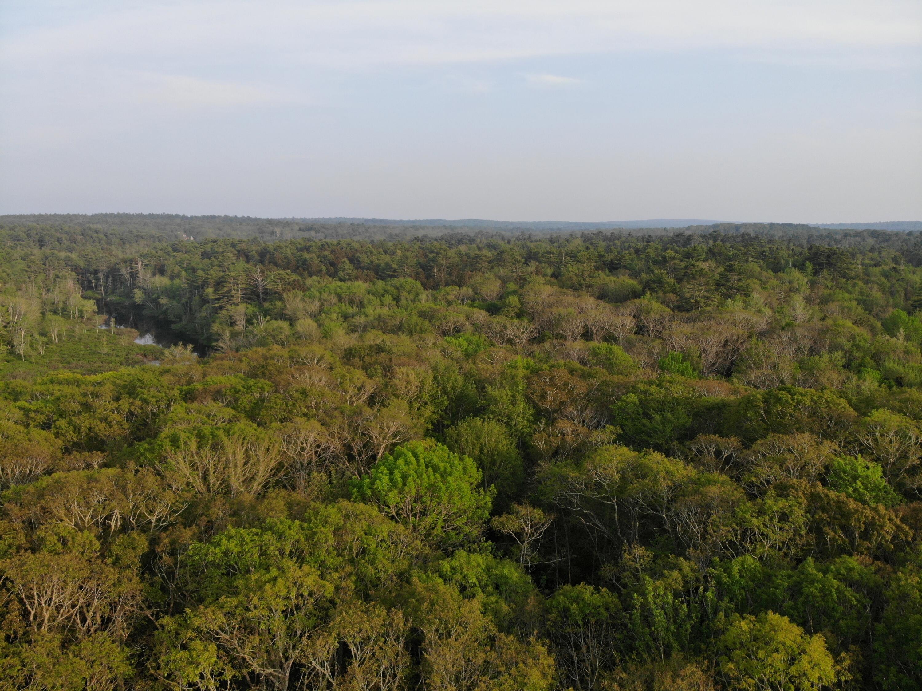 M6L53 Bristol Road Bristol ME 04539