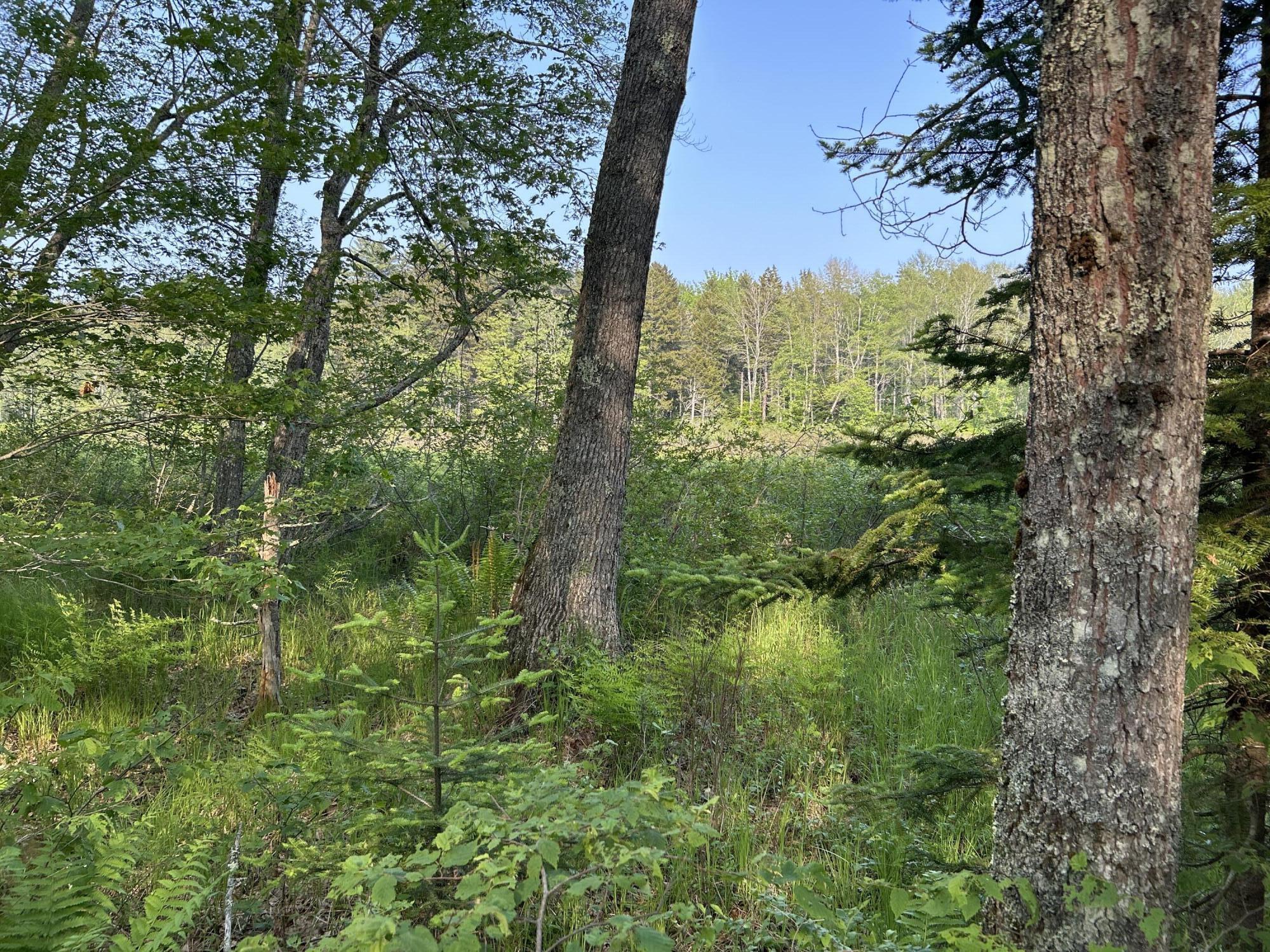 M6L53 Bristol Road Bristol ME 04539