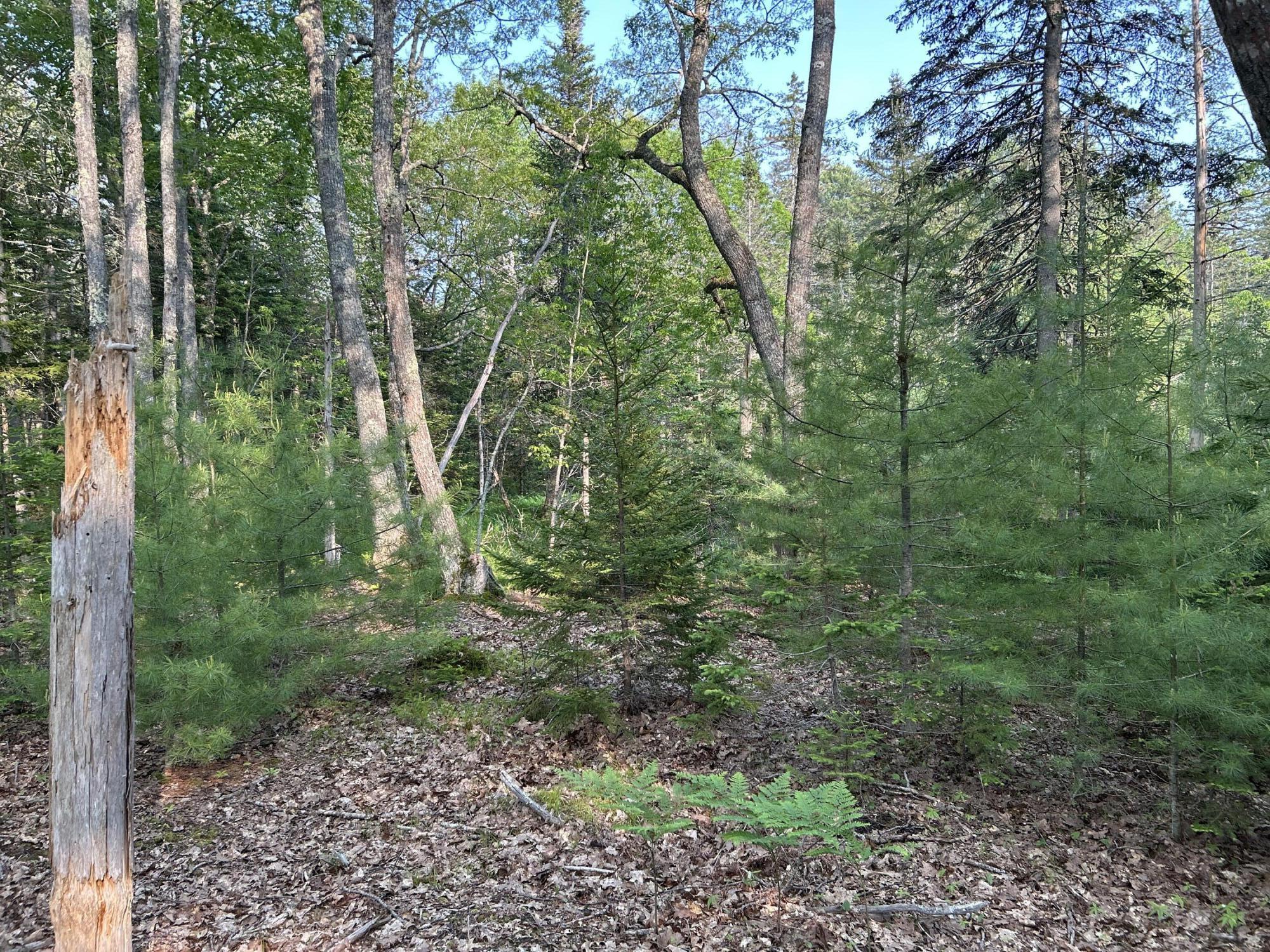 M6L53 Bristol Road Bristol ME 04539