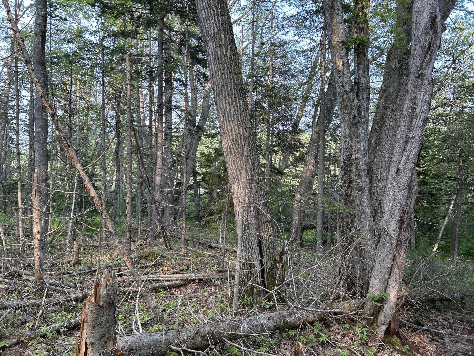 M6L53 Bristol Road Bristol ME 04539