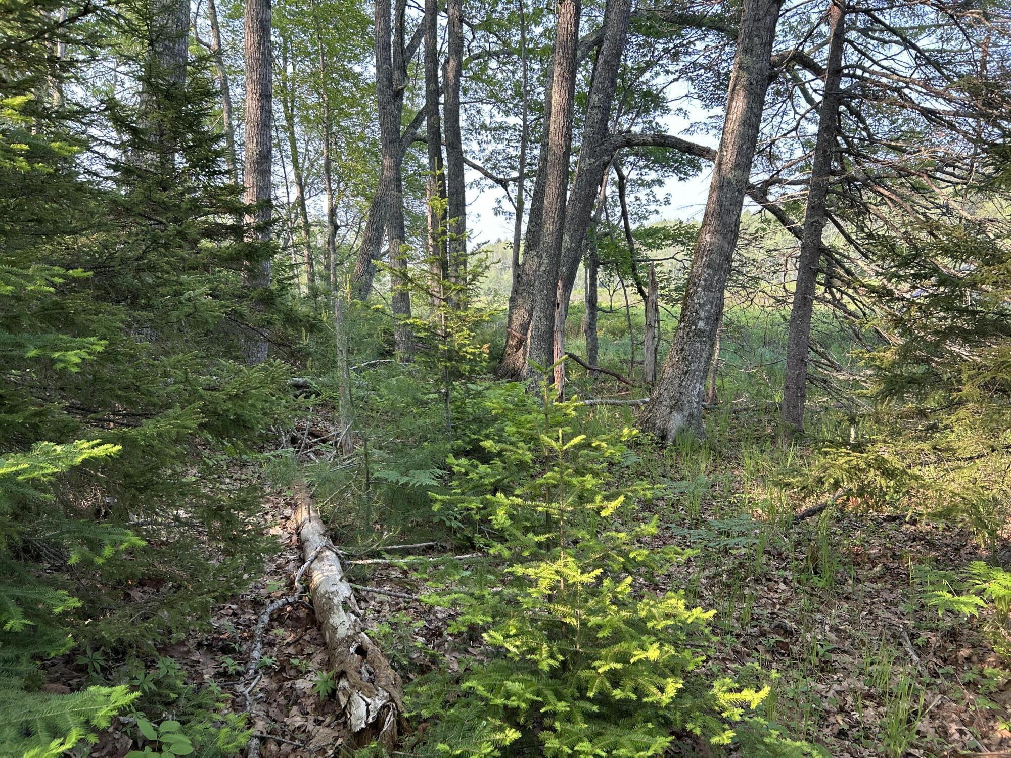 M6L53 Bristol Road Bristol ME 04539