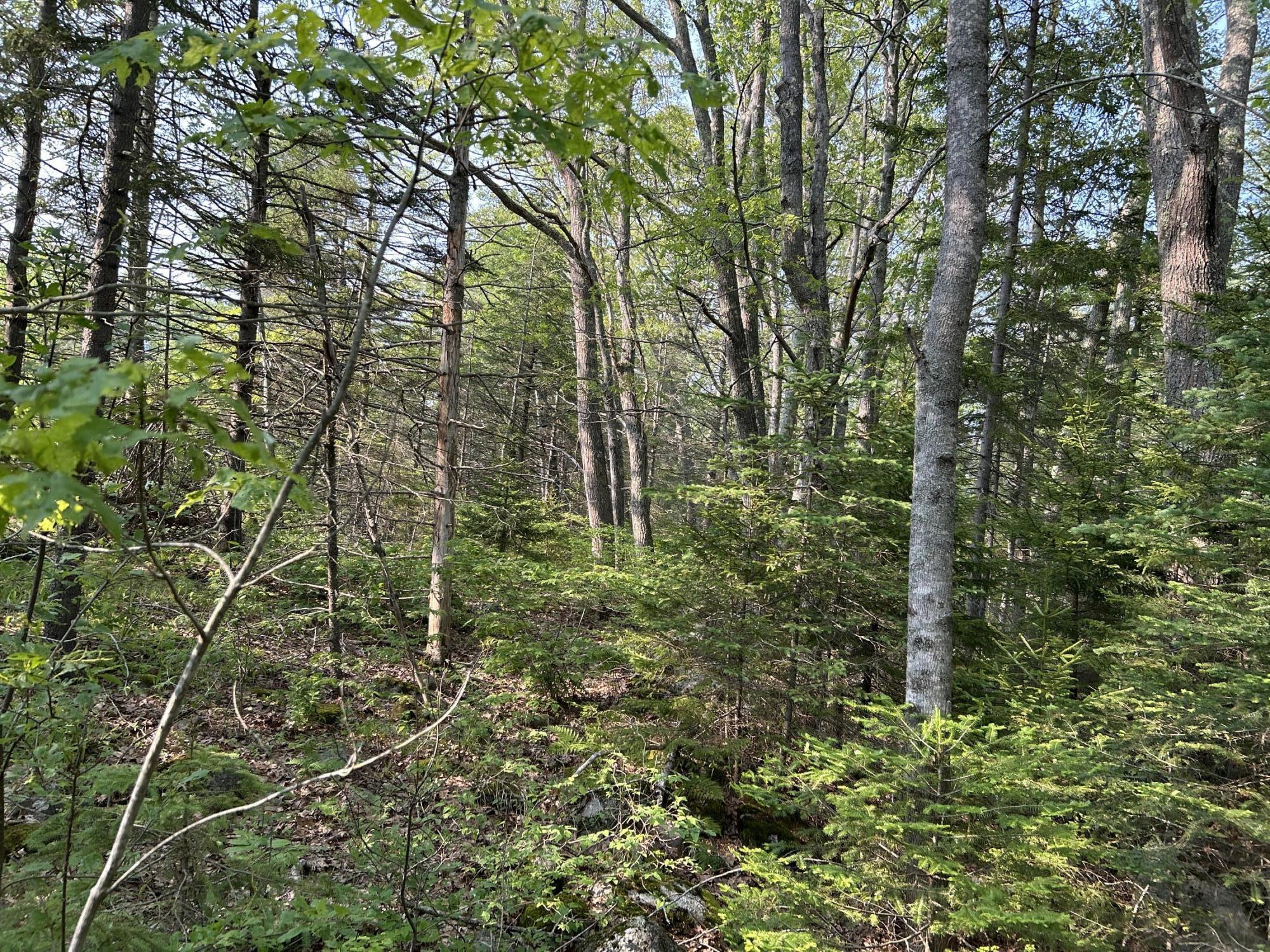 M6L53 Bristol Road Bristol ME 04539