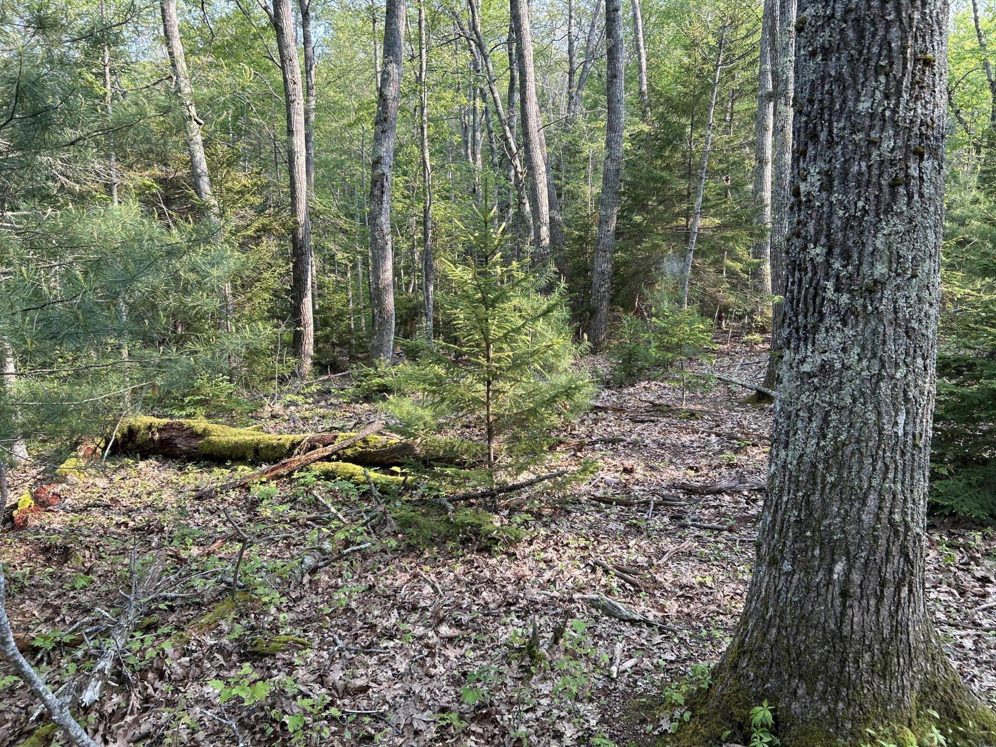 M6L53 Bristol Road Bristol ME 04539