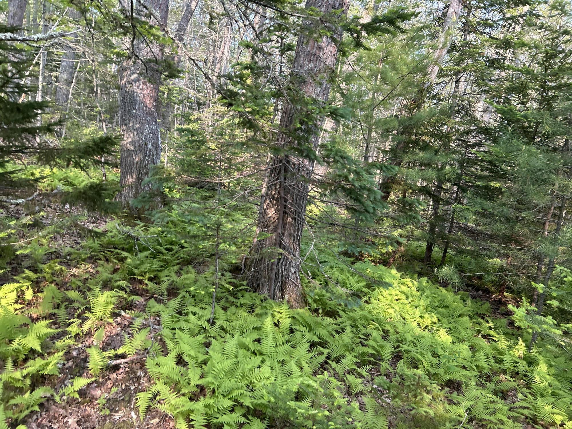 M6L53 Bristol Road Bristol ME 04539