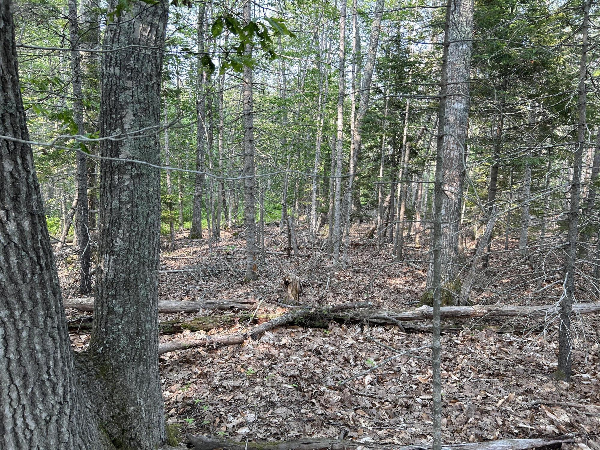 M6L53 Bristol Road Bristol ME 04539