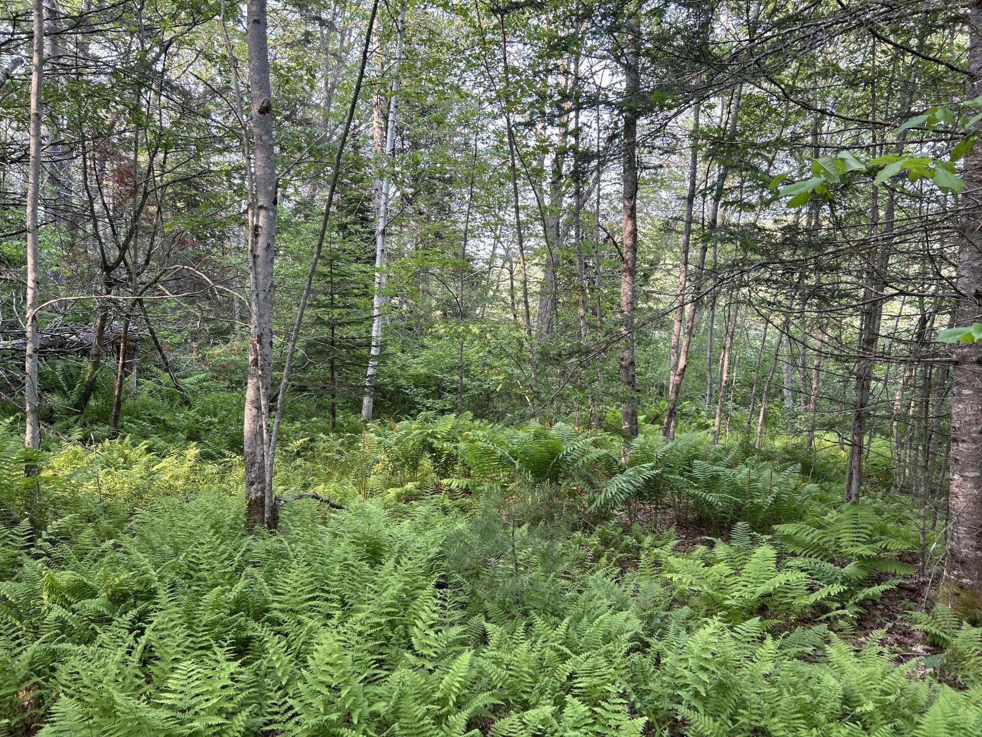 M6L53 Bristol Road Bristol ME 04539