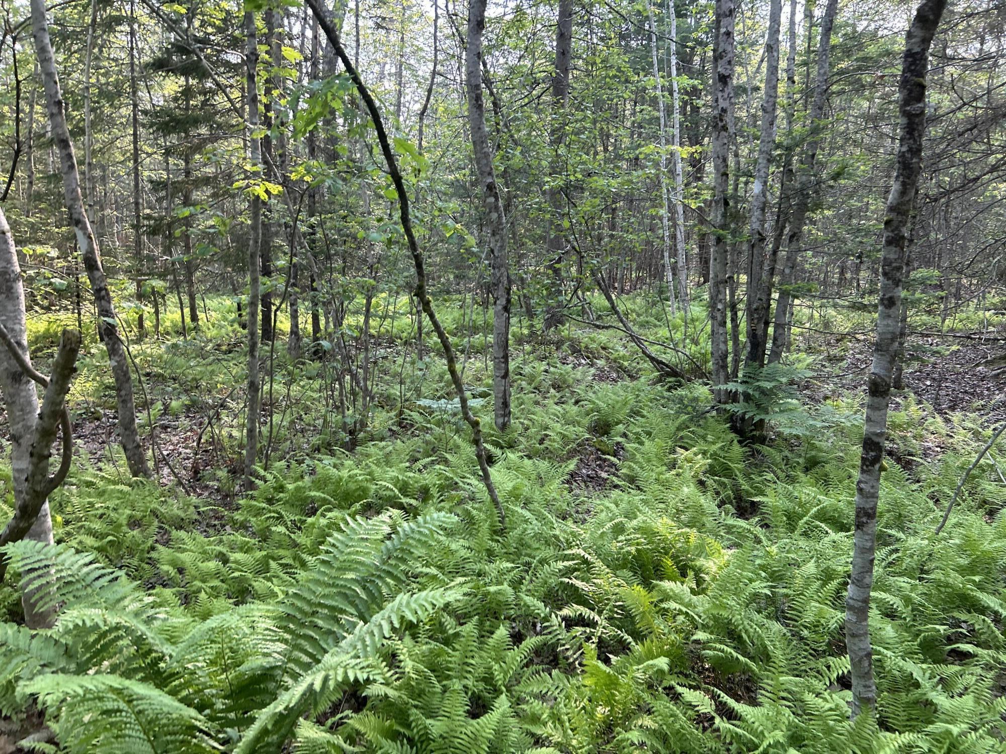 M6L53 Bristol Road Bristol ME 04539