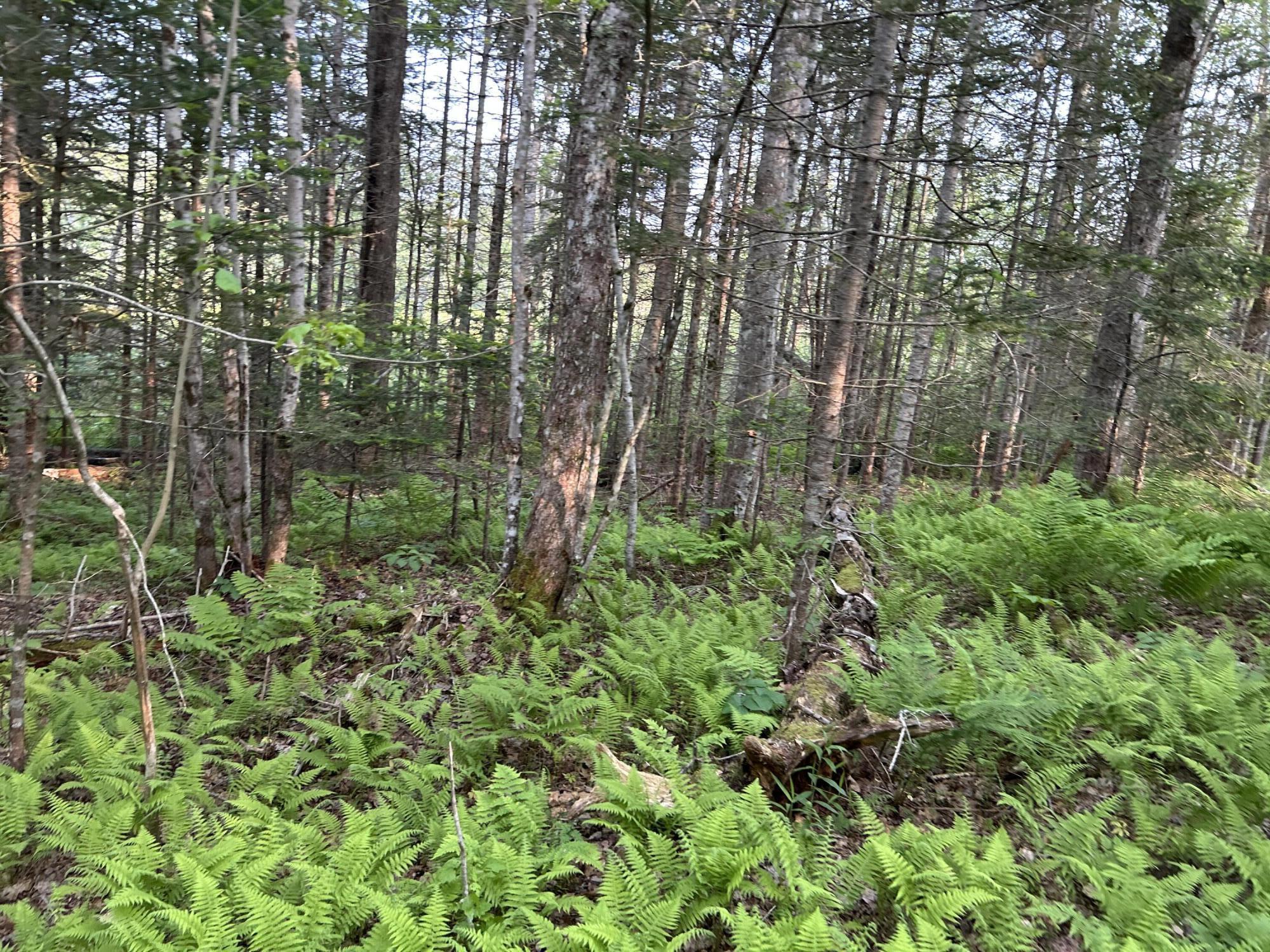 M6L53 Bristol Road Bristol ME 04539