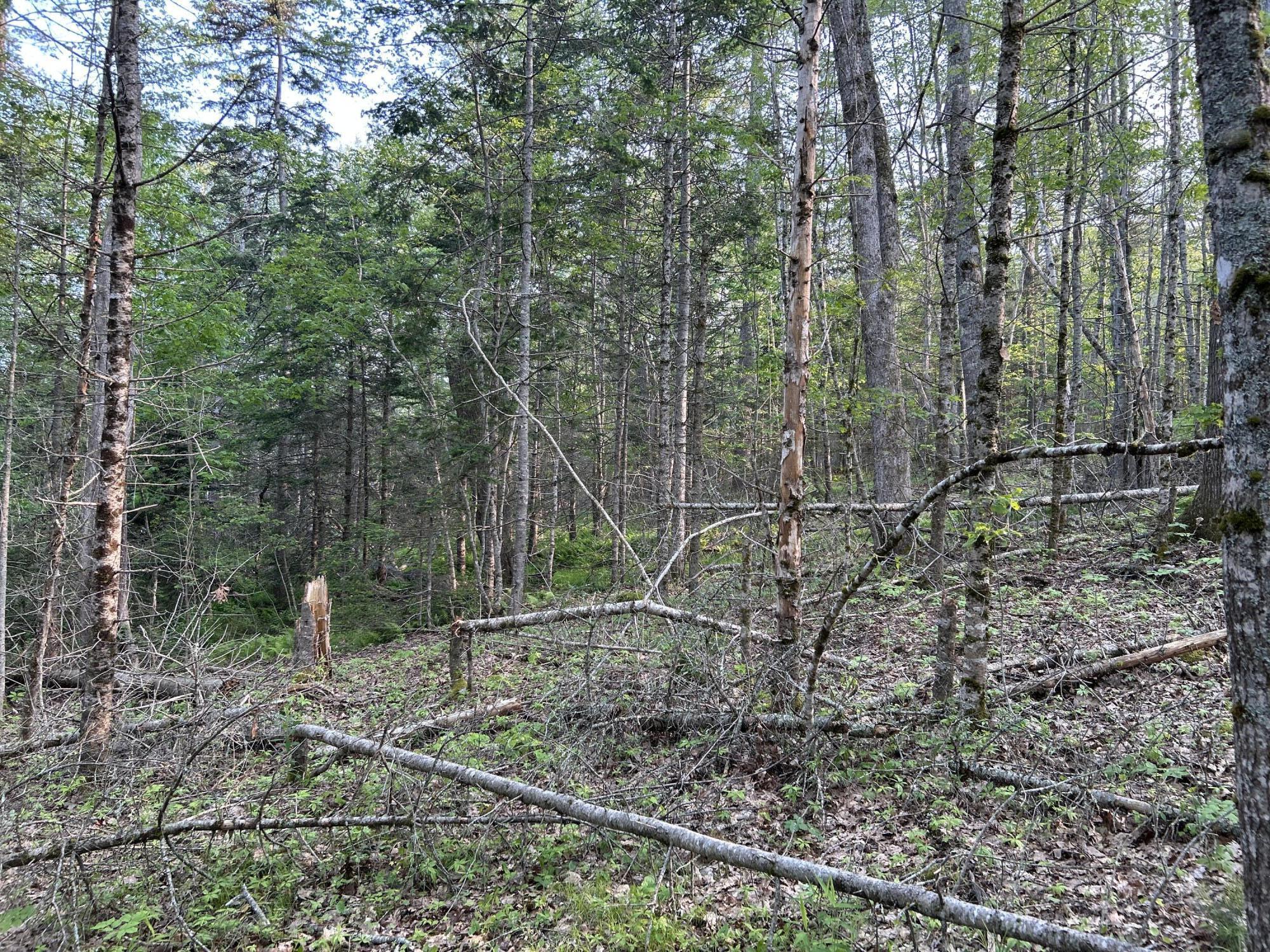 M6L53 Bristol Road Bristol ME 04539