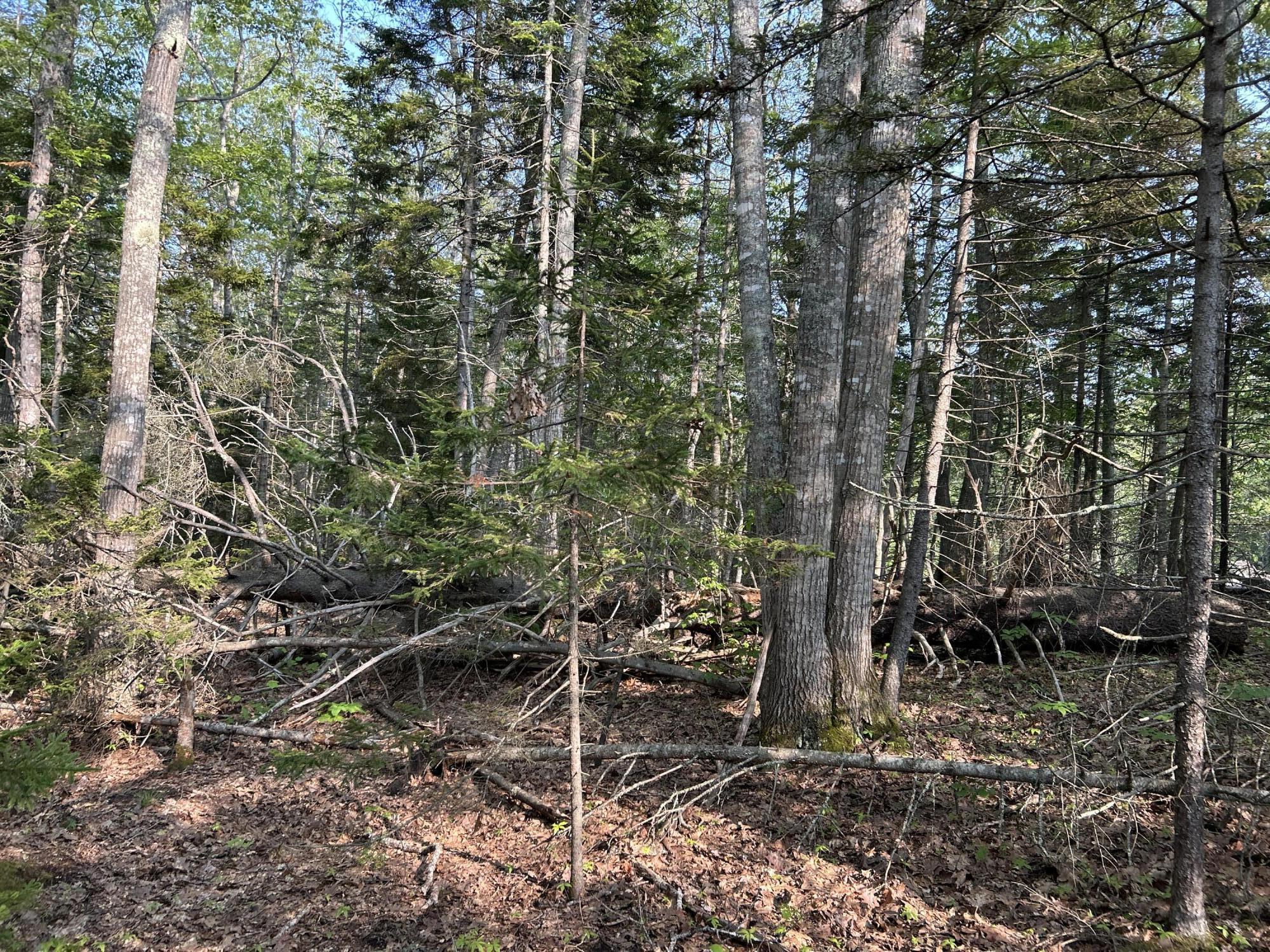 M6L53 Bristol Road Bristol ME 04539