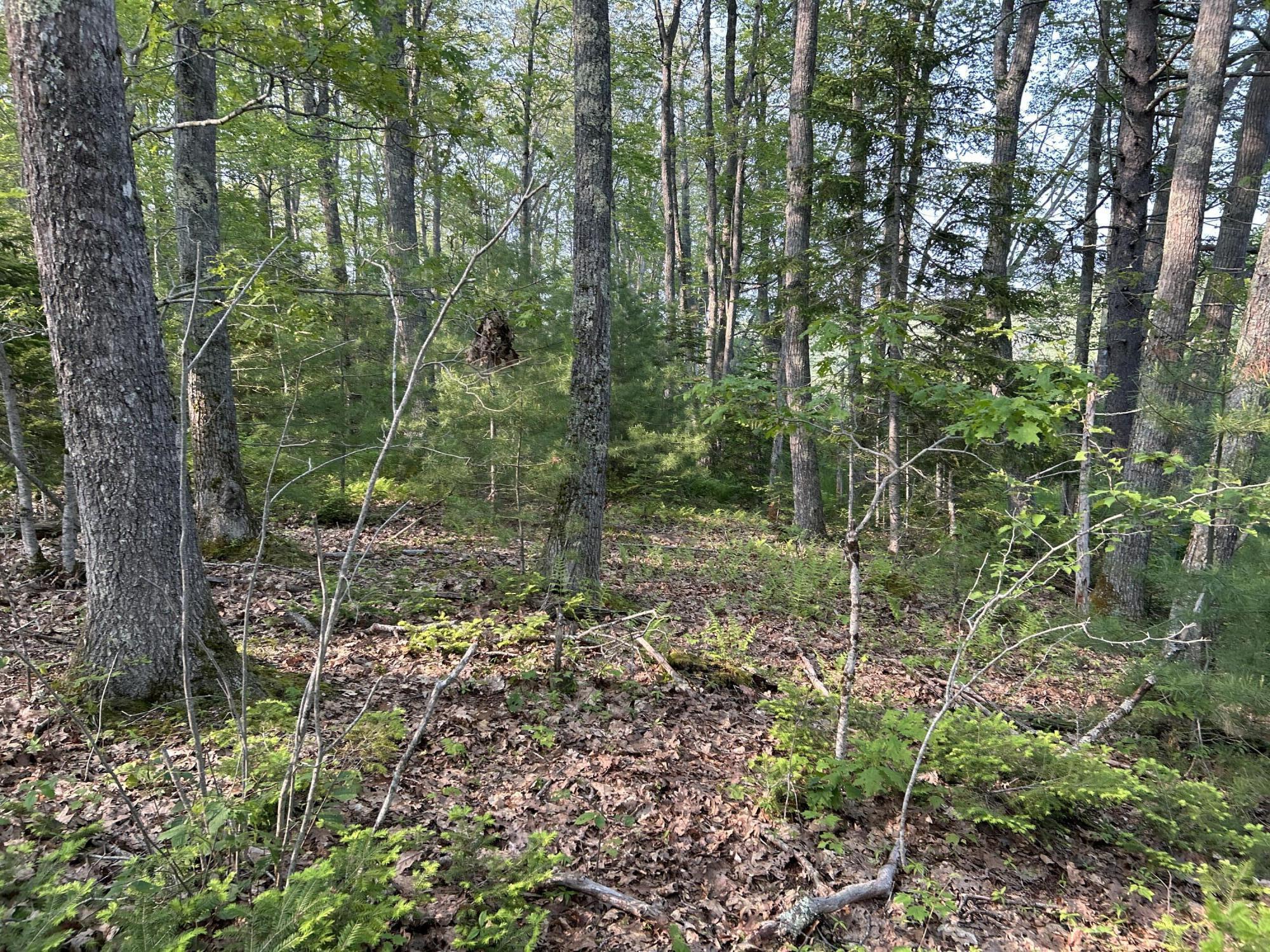 M6L53 Bristol Road Bristol ME 04539