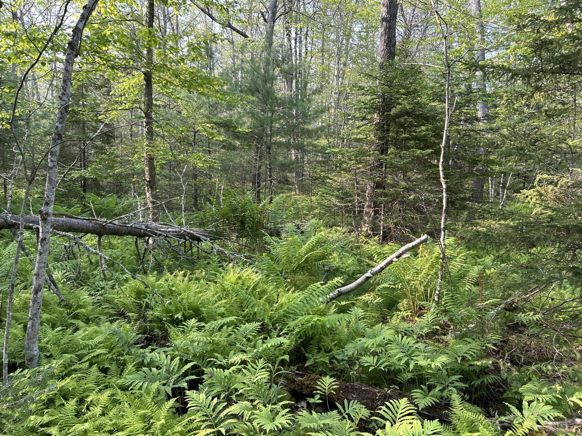 M6L53 Bristol Road Bristol ME 04539