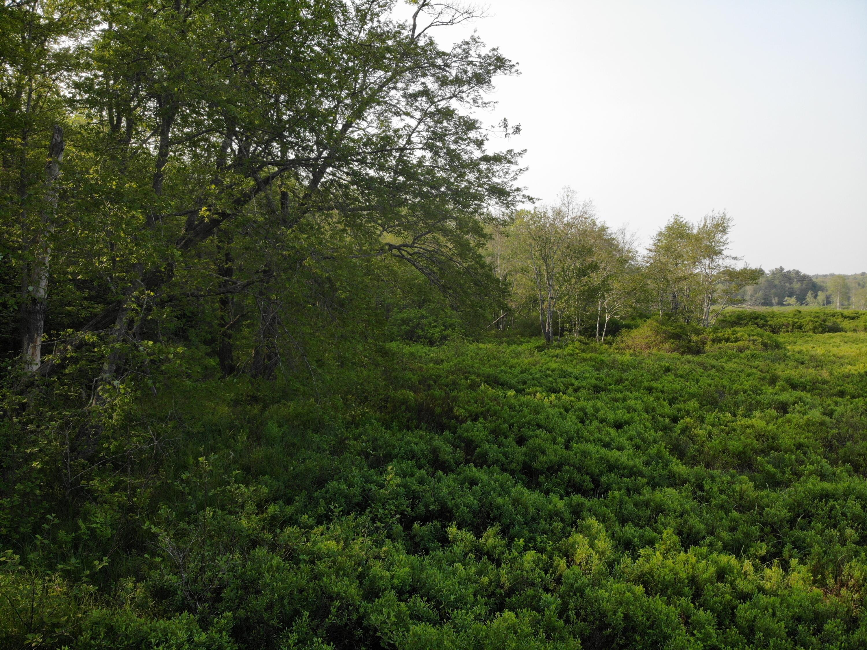 M6L53 Bristol Road Bristol ME 04539