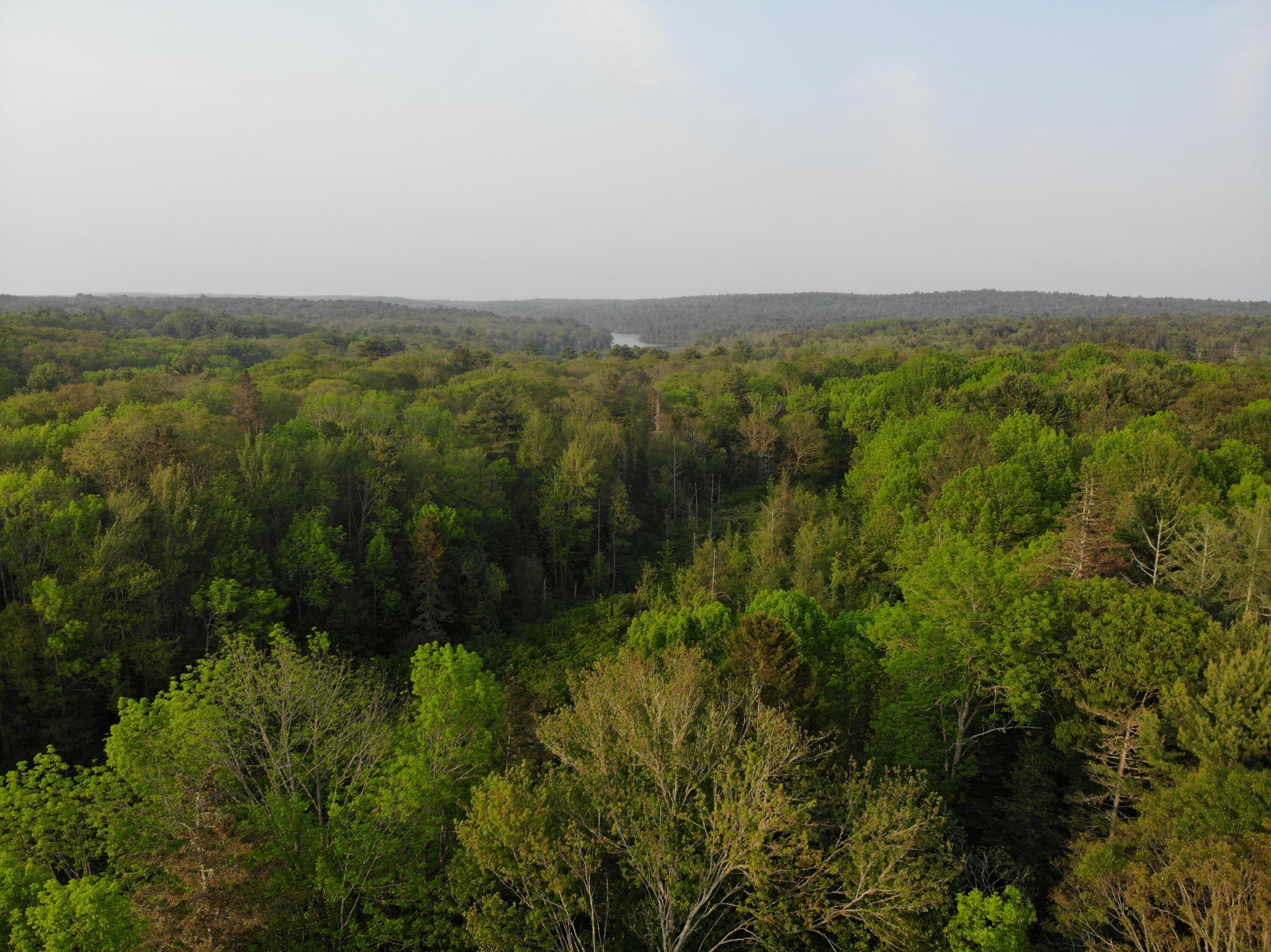 M6L53 Bristol Road Bristol ME 04539