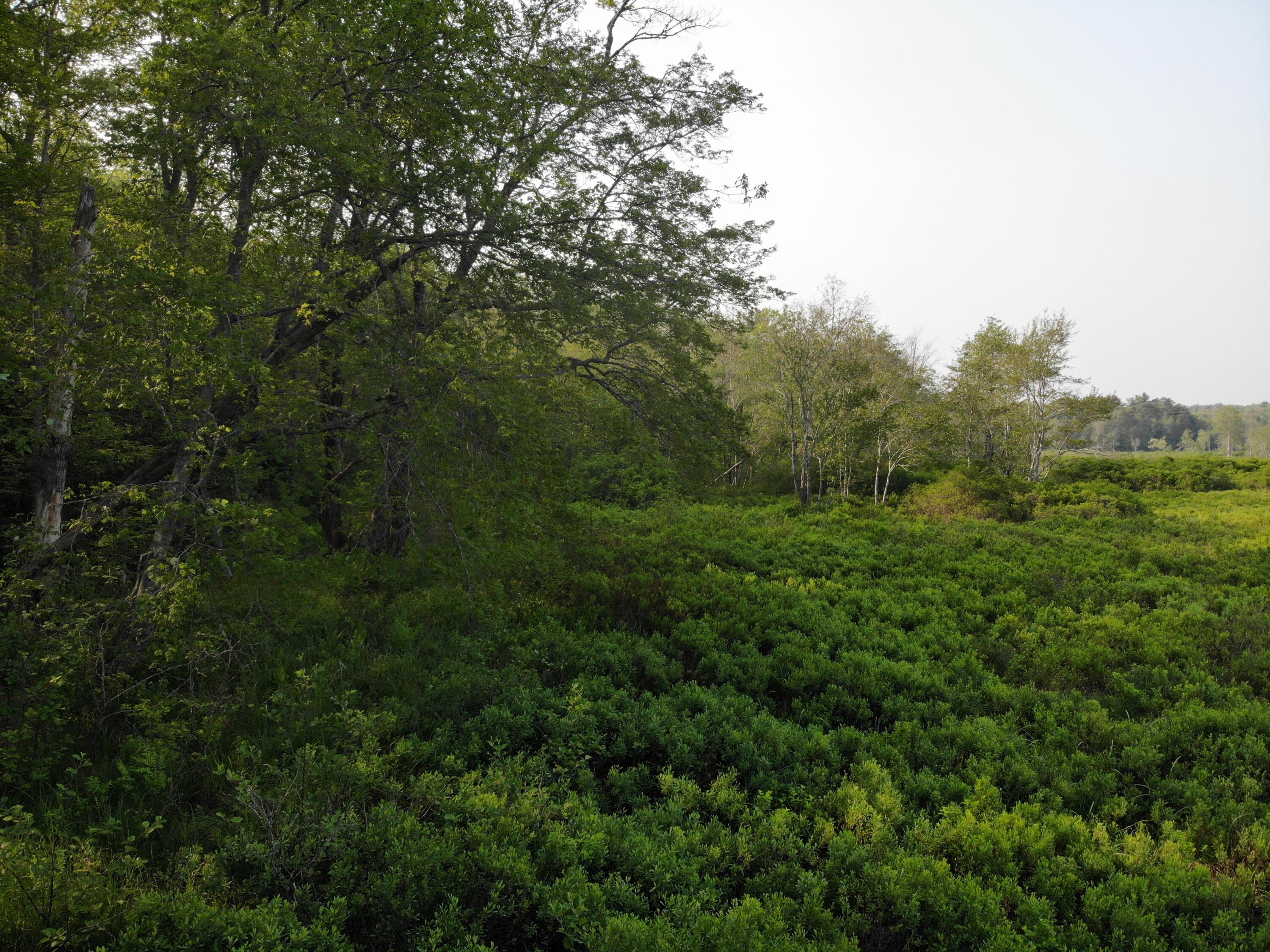 M6L53 Bristol Road Bristol ME 04539