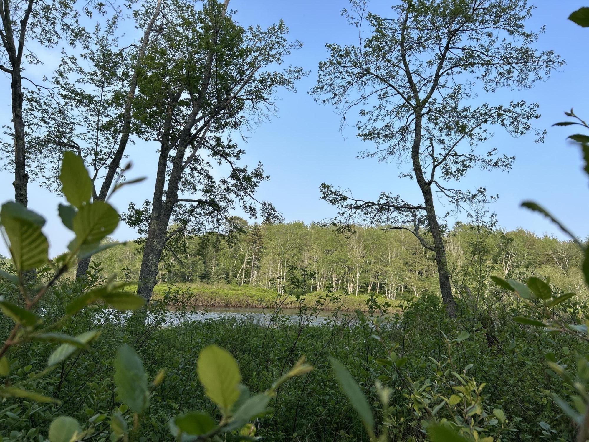 M6L53 Bristol Road Bristol ME 04539