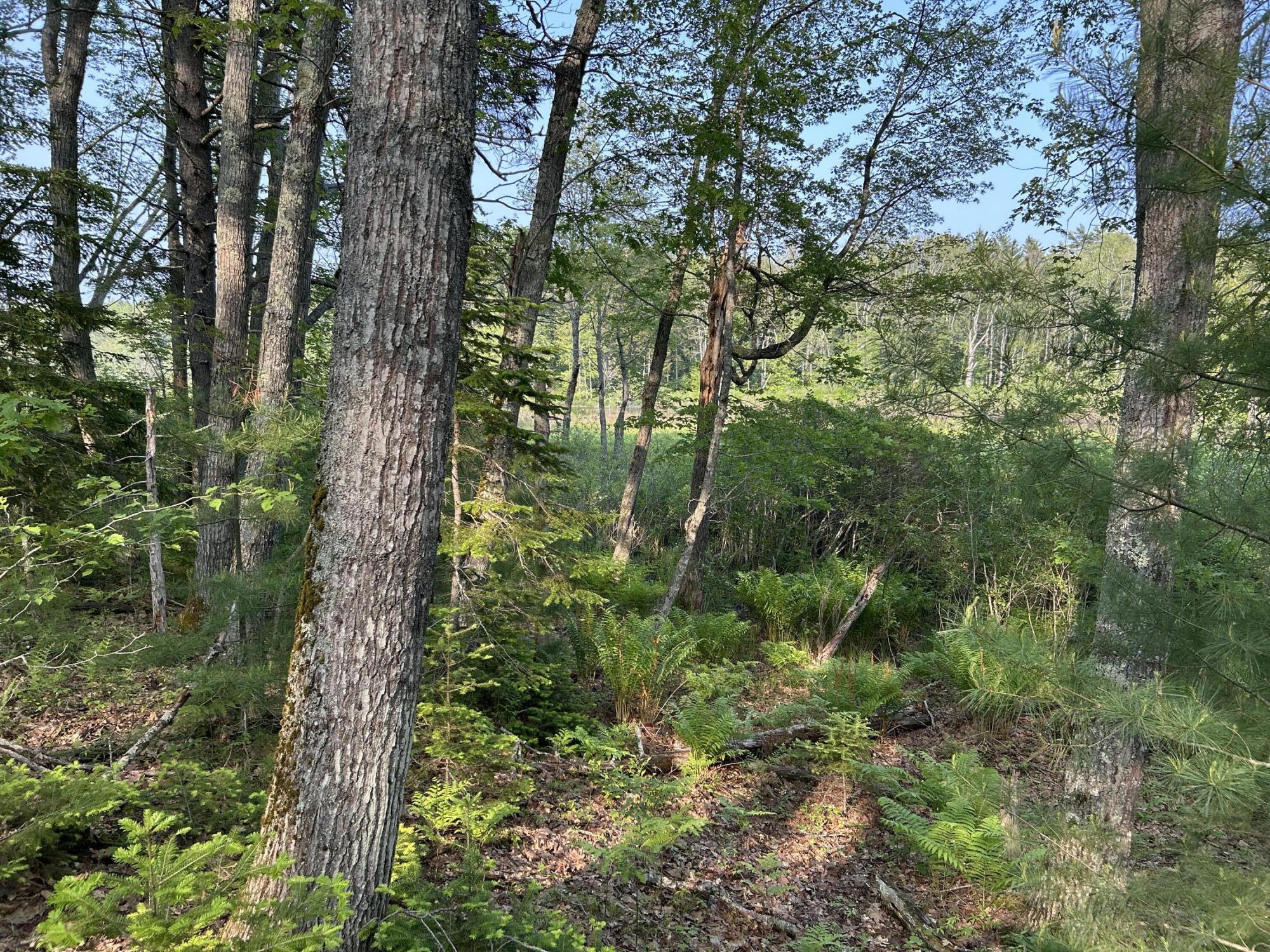 M6L53 Bristol Road Bristol ME 04539