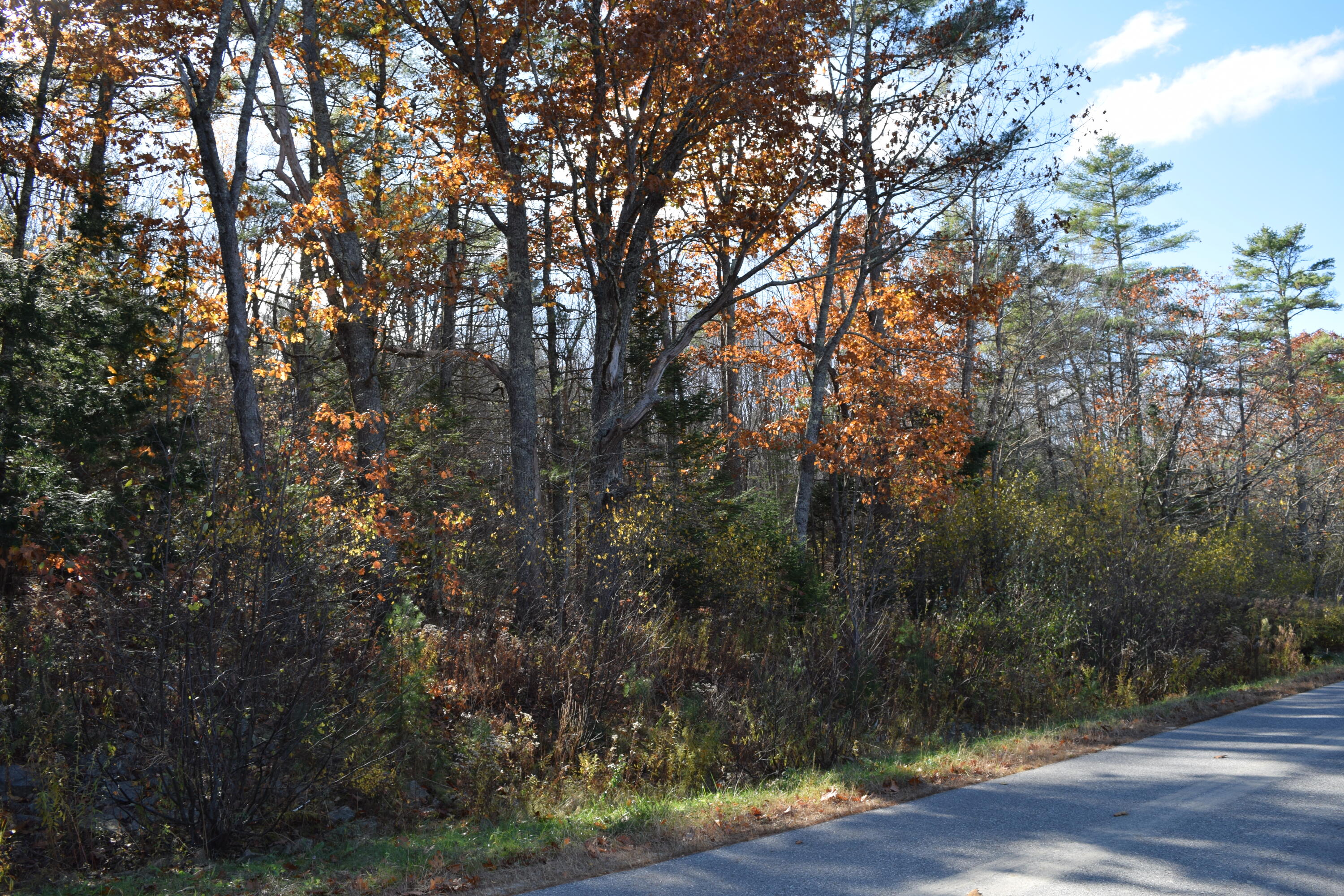 Parcel #4 Natalie Drive West Gardiner ME 04345