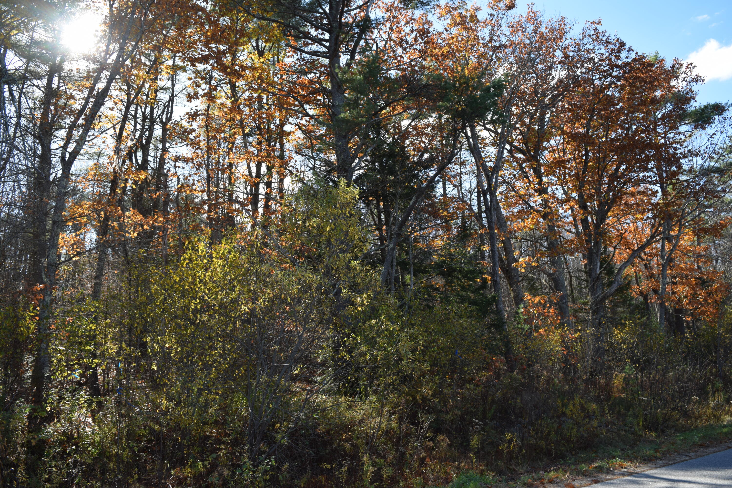 Parcel #4 Natalie Drive West Gardiner ME 04345