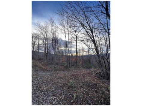 Upper Lot 7-2 Brown Road Oakfield ME 04763