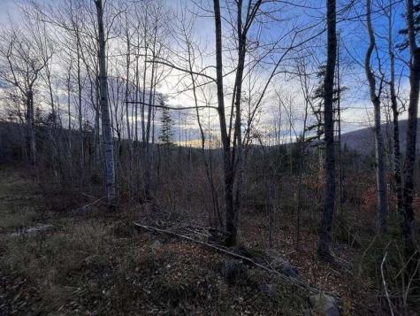 Upper Lot 7-2 Brown Road Oakfield ME 04763