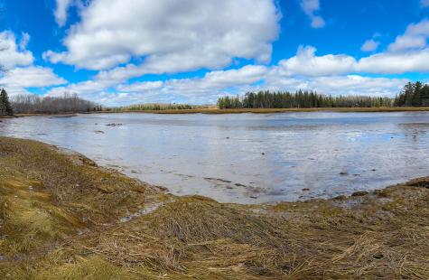 M5l42 Hooke Road Harrington ME 04643