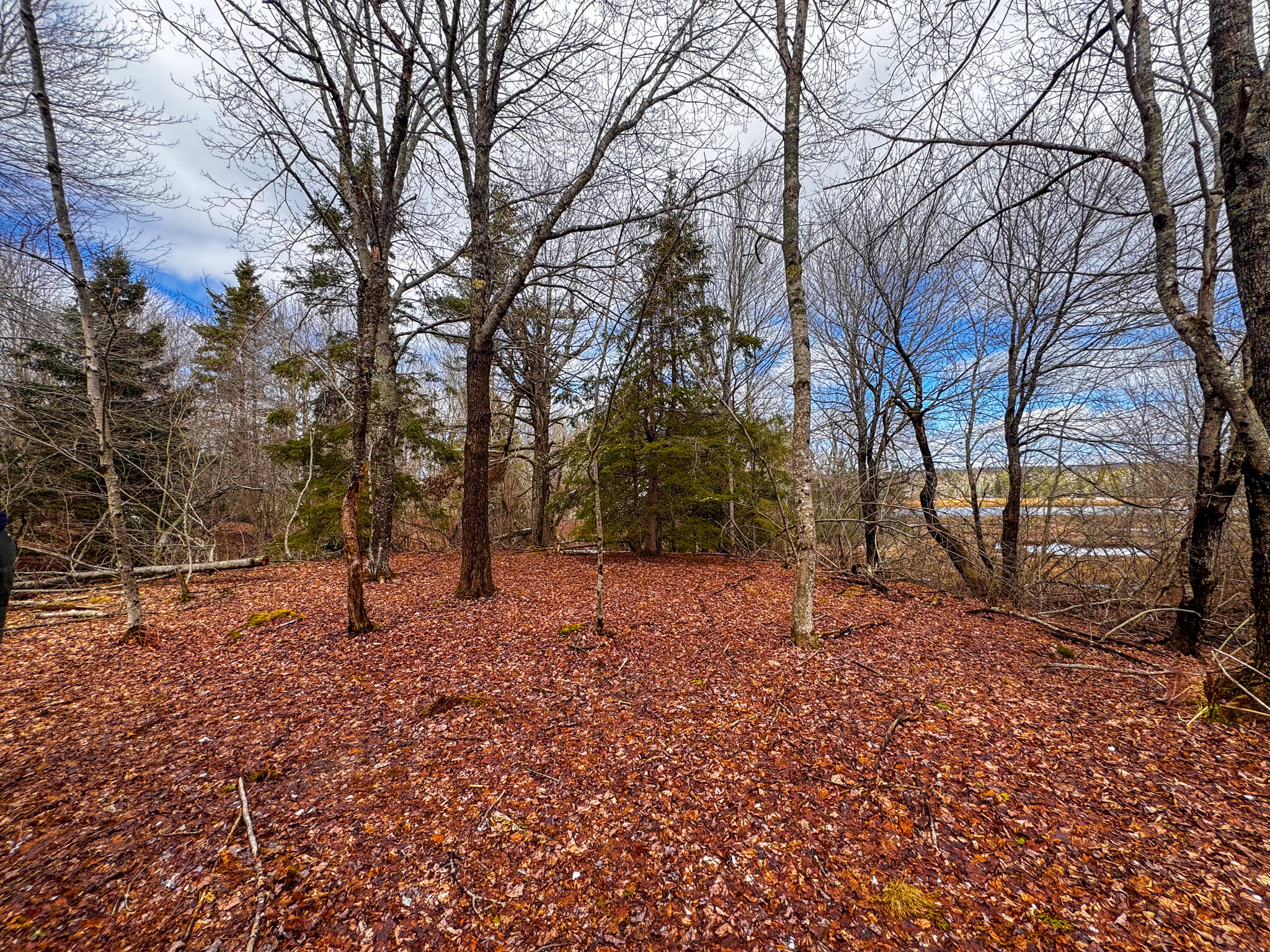 M5L42 Hooke Road Harrington ME 04643