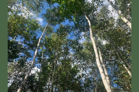 14 Pushaw Woods Lane Hudson ME 04468
