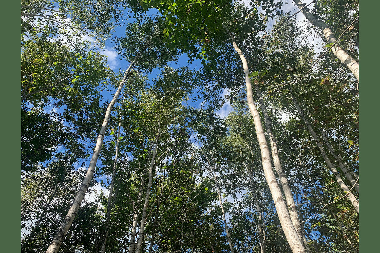 14 Pushaw Woods Lane Hudson ME 04468