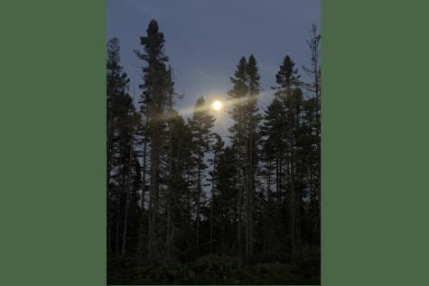 14 Pushaw Woods Lane Hudson ME 04468