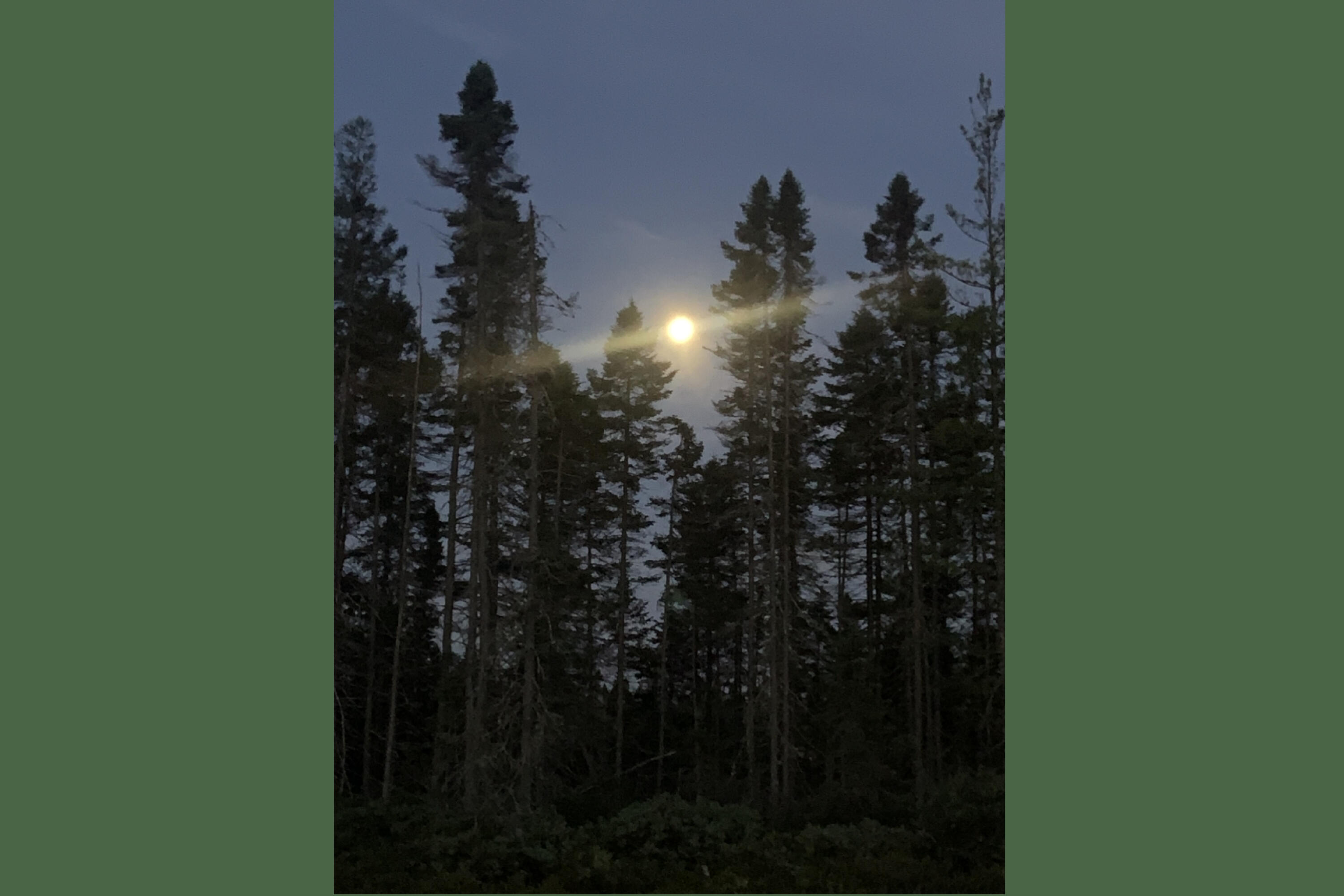 14 Pushaw Woods Lane Hudson ME 04468