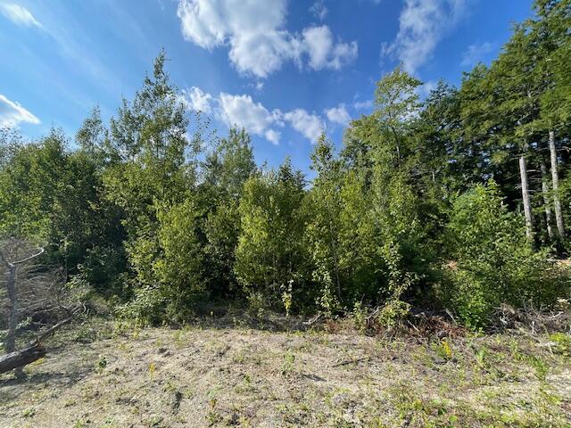 69K Christmas Cove Road Crawford ME 04694