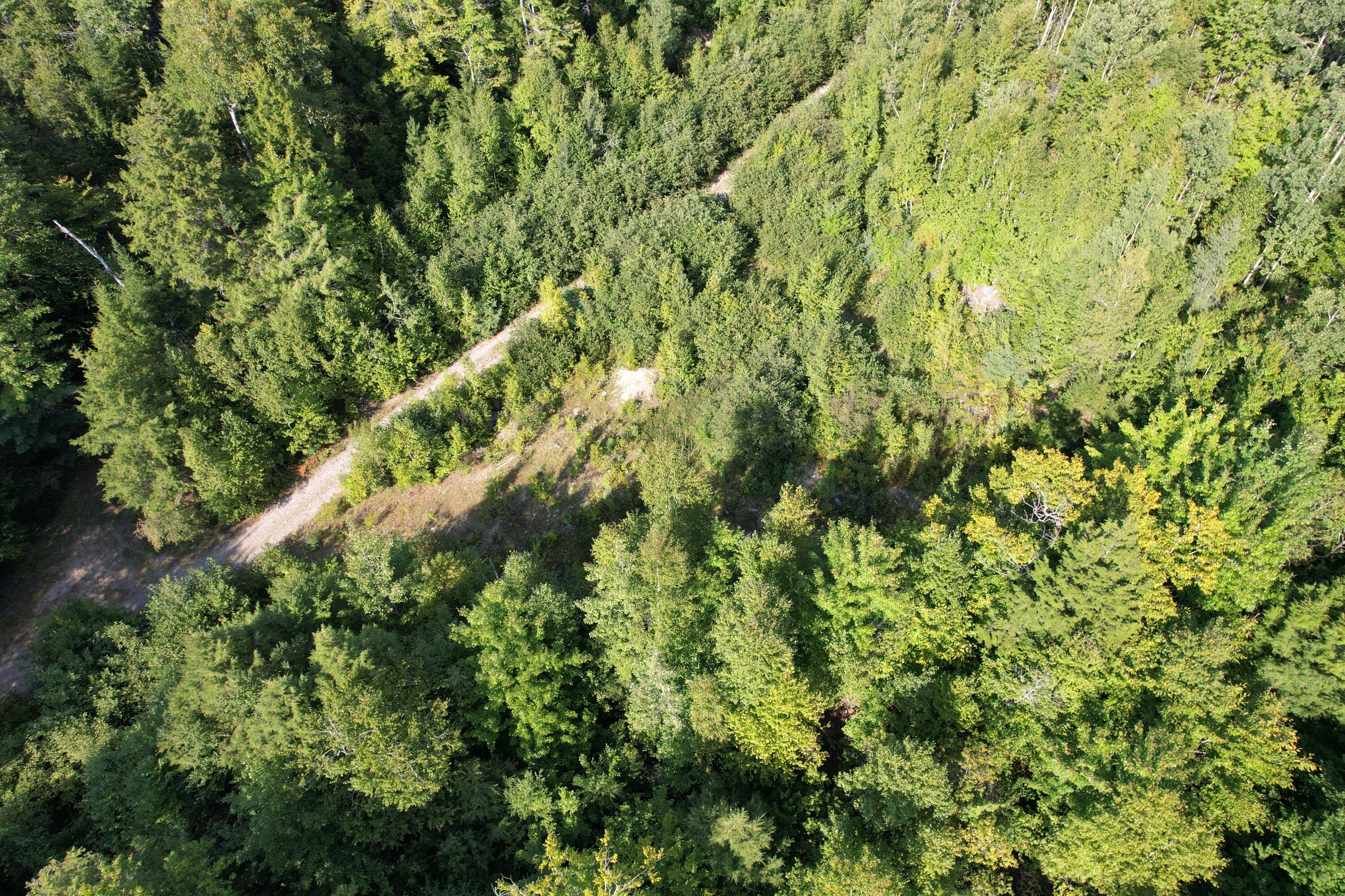 69K Christmas Cove Road Crawford ME 04694