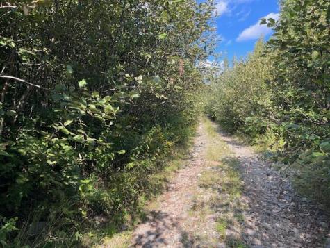 69K Christmas Cove Road Crawford ME 04694