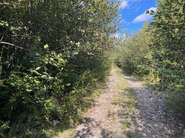 69K Christmas Cove Road Crawford ME 04694