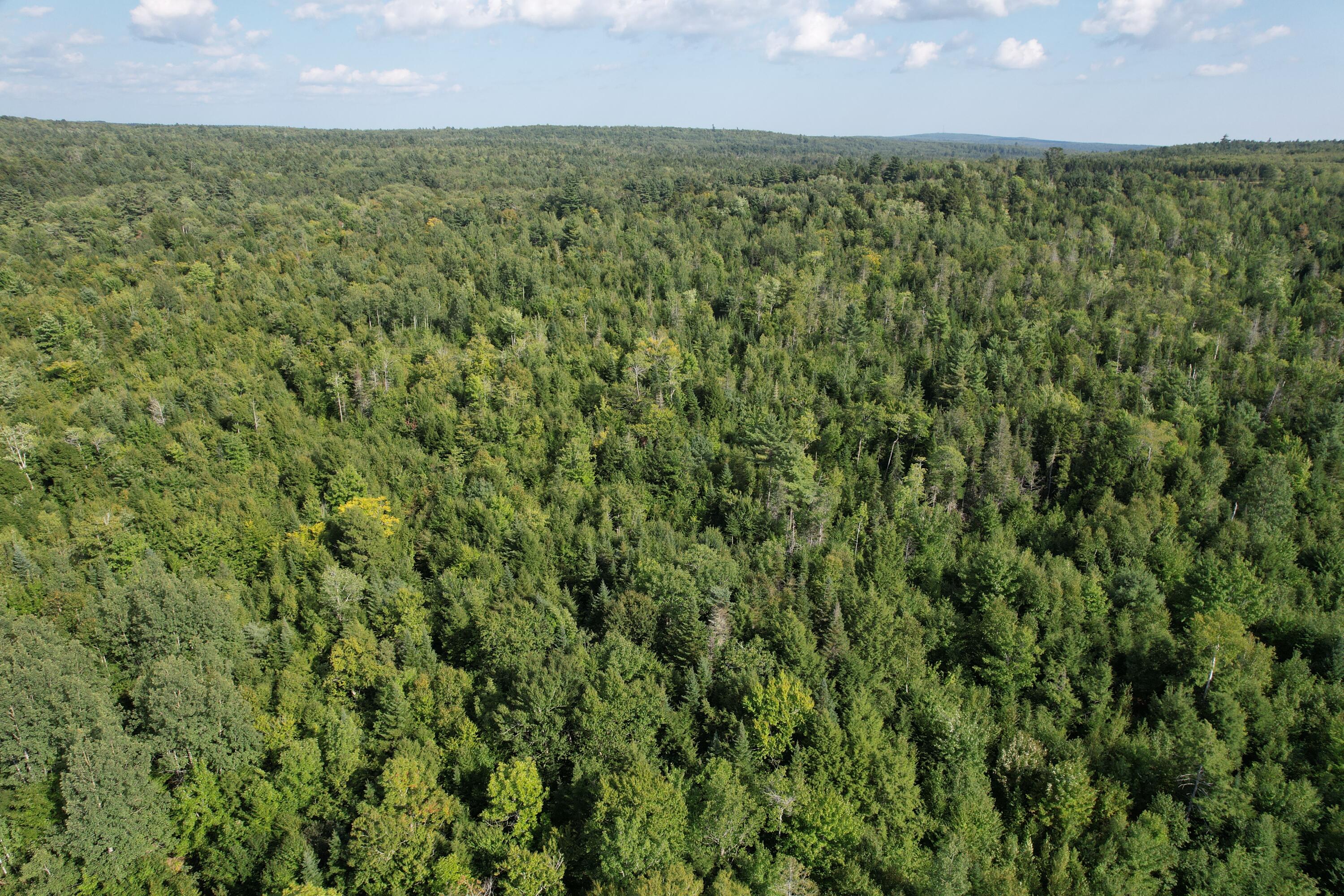 69K Christmas Cove Road Crawford ME 04694