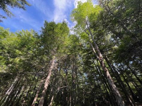 69K Christmas Cove Road Crawford ME 04694