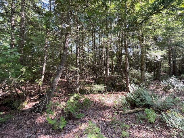 69K Christmas Cove Road Crawford ME 04694
