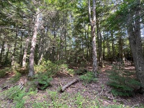 69K Christmas Cove Road Crawford ME 04694