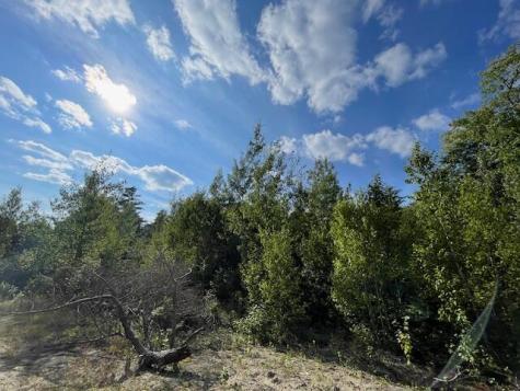 69K Christmas Cove Road Crawford ME 04694