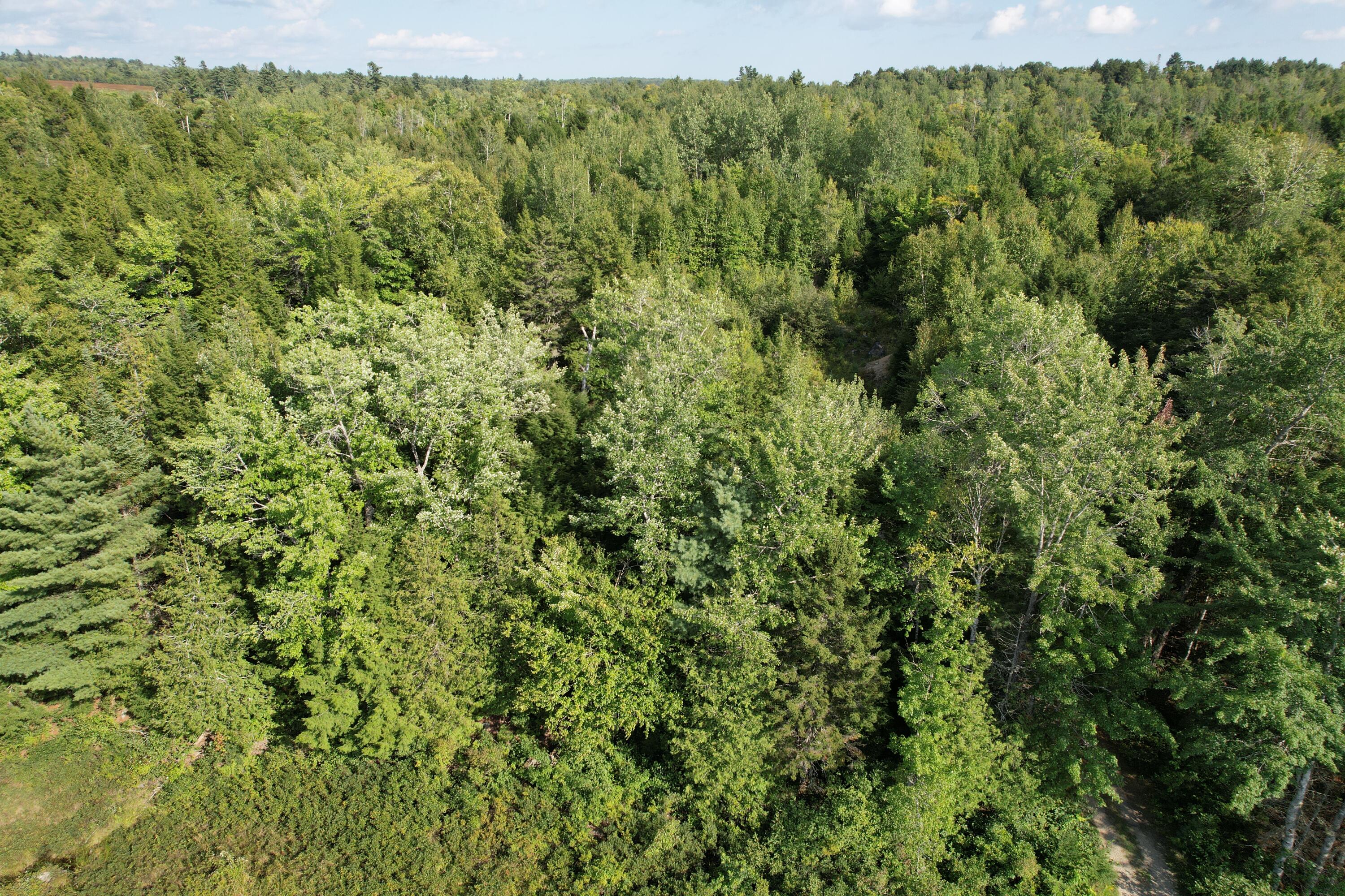 69K Christmas Cove Road Crawford ME 04694