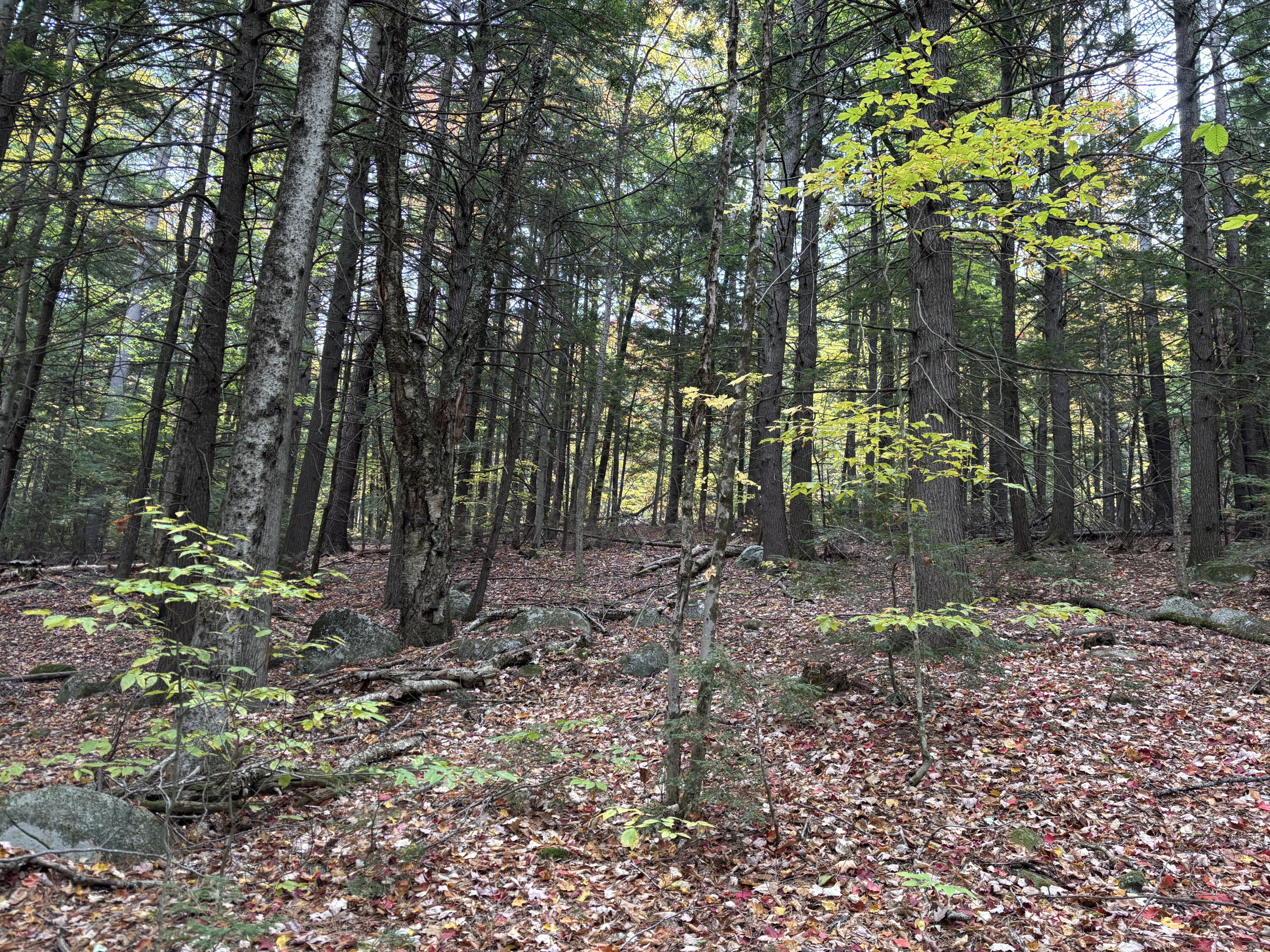 Tbd Watson Pond Road Rome ME 04963