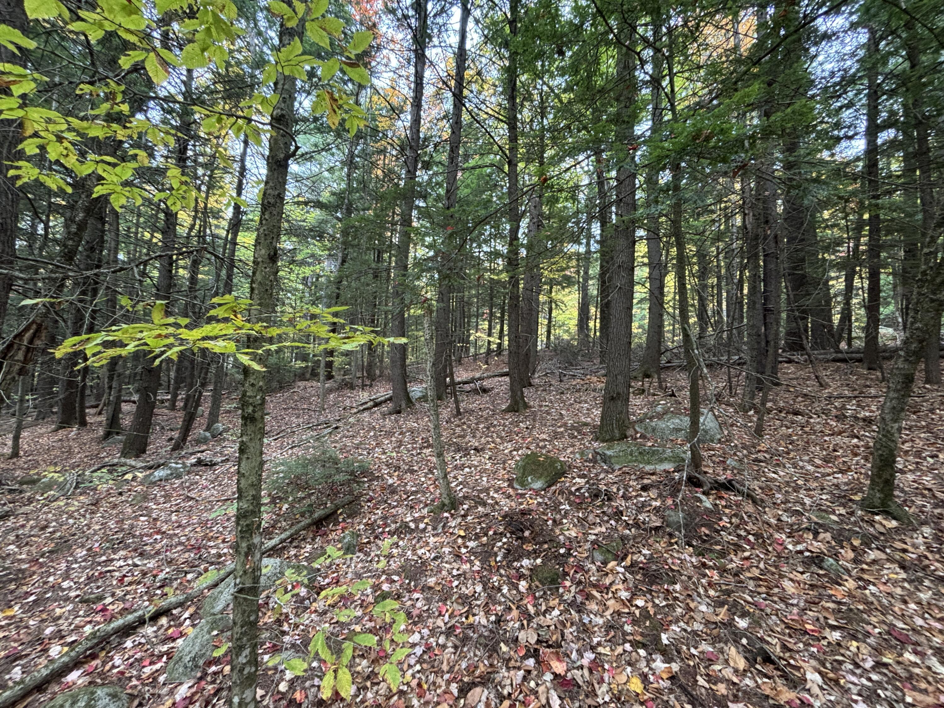 Tbd Watson Pond Road Rome ME 04963