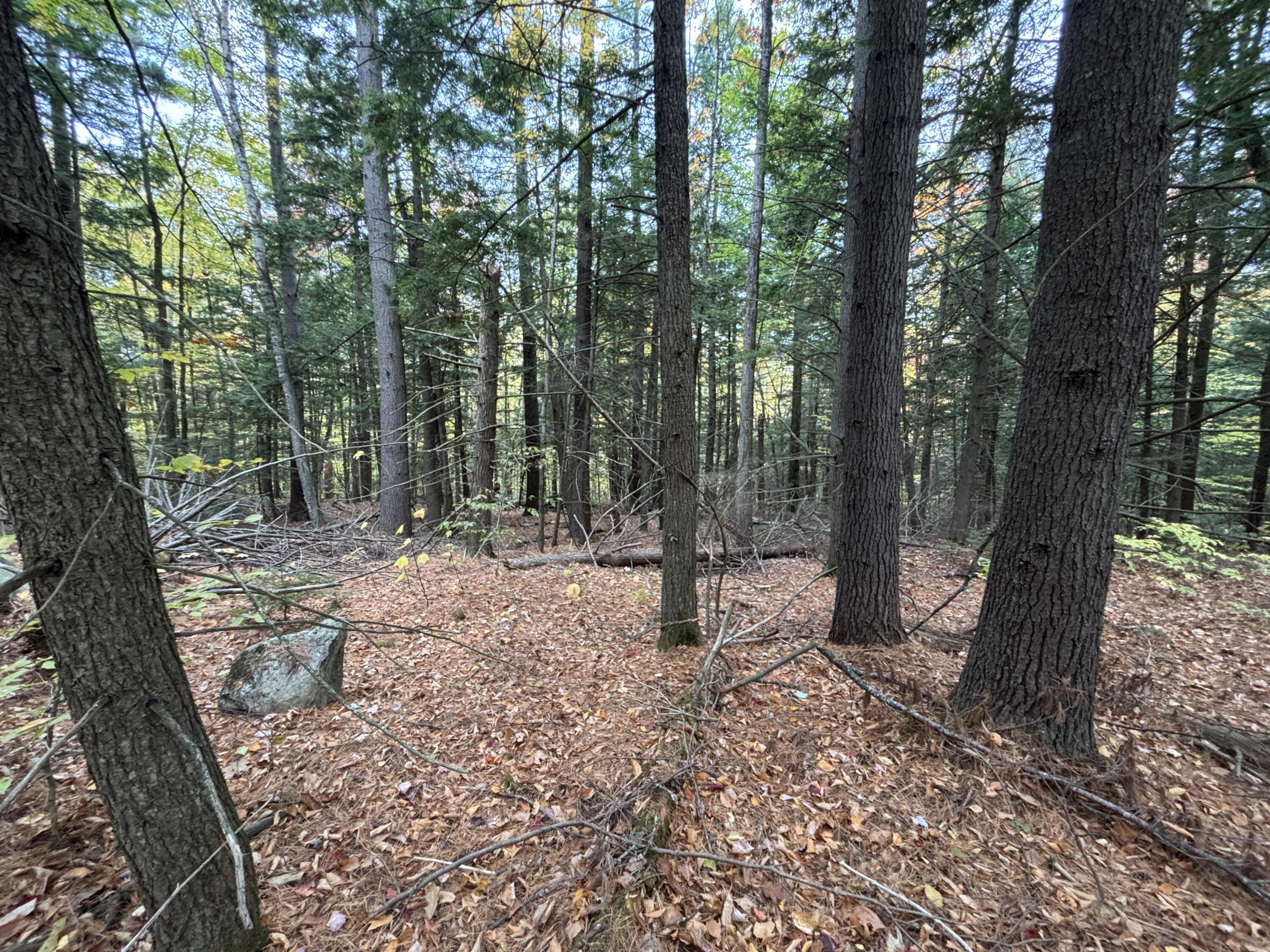 Tbd Watson Pond Road Rome ME 04963