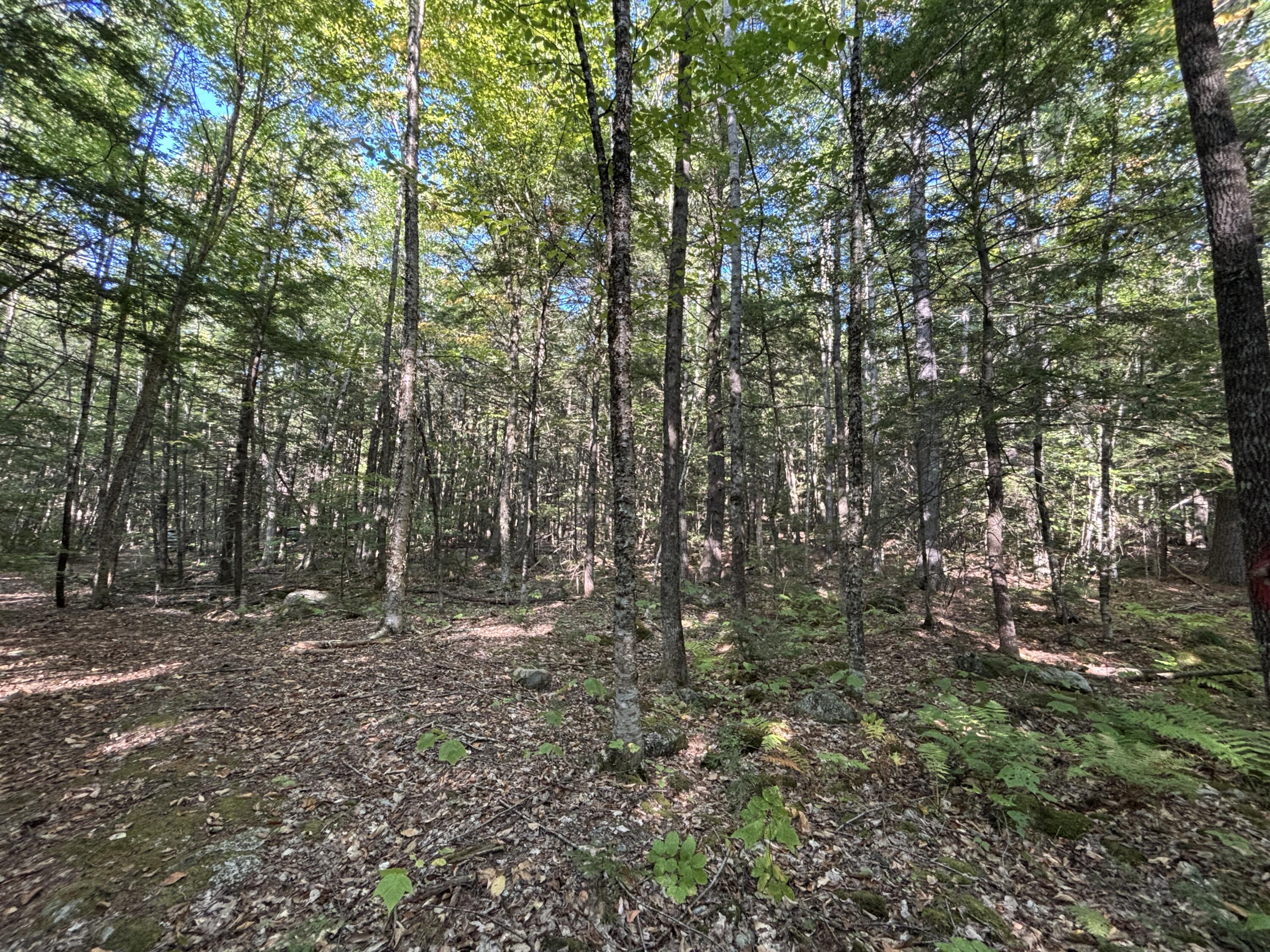 Tbd Watson Pond Road Rome ME 04963