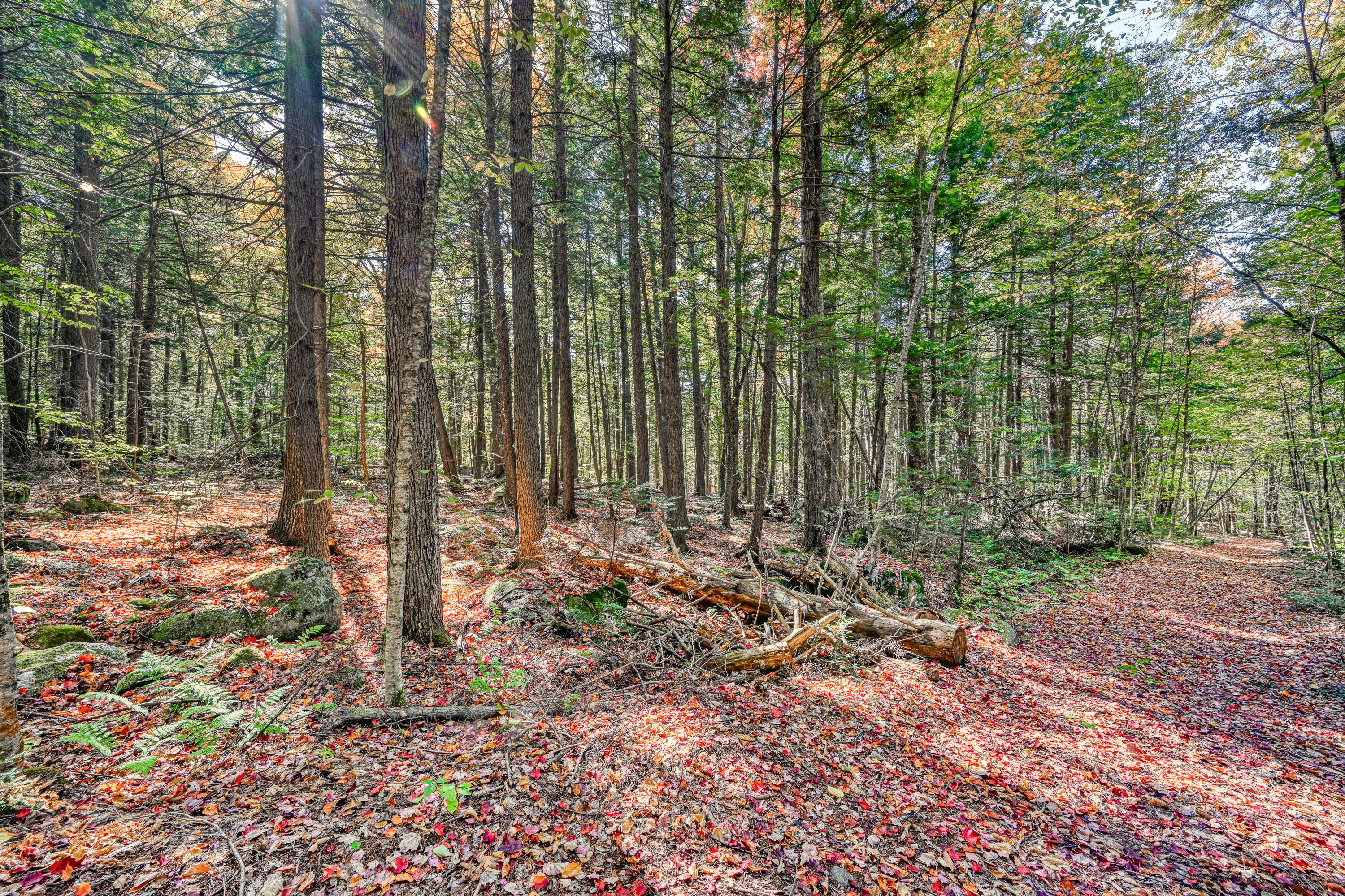 Tbd Watson Pond Road Rome ME 04963