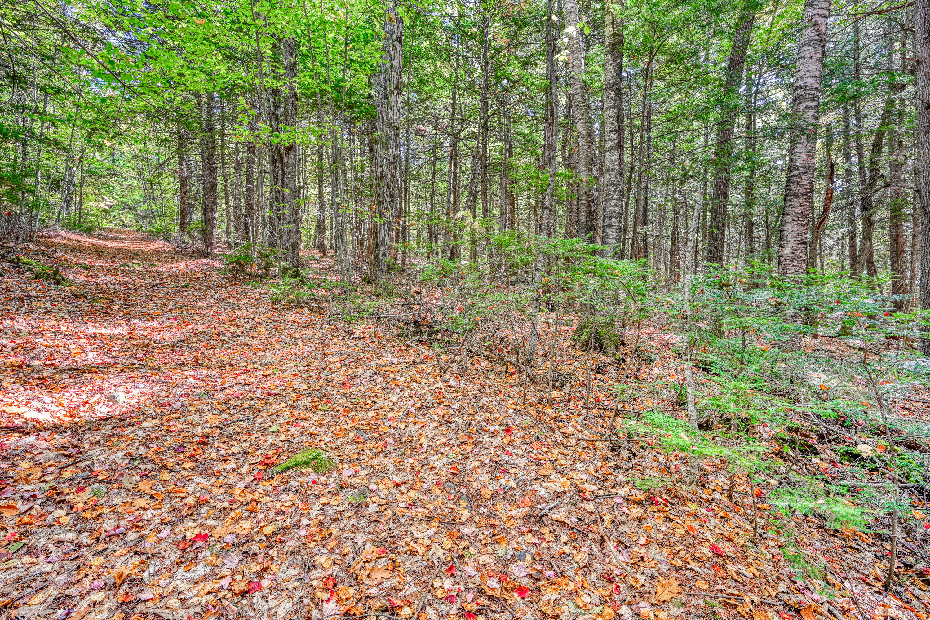 Tbd Watson Pond Road Rome ME 04963